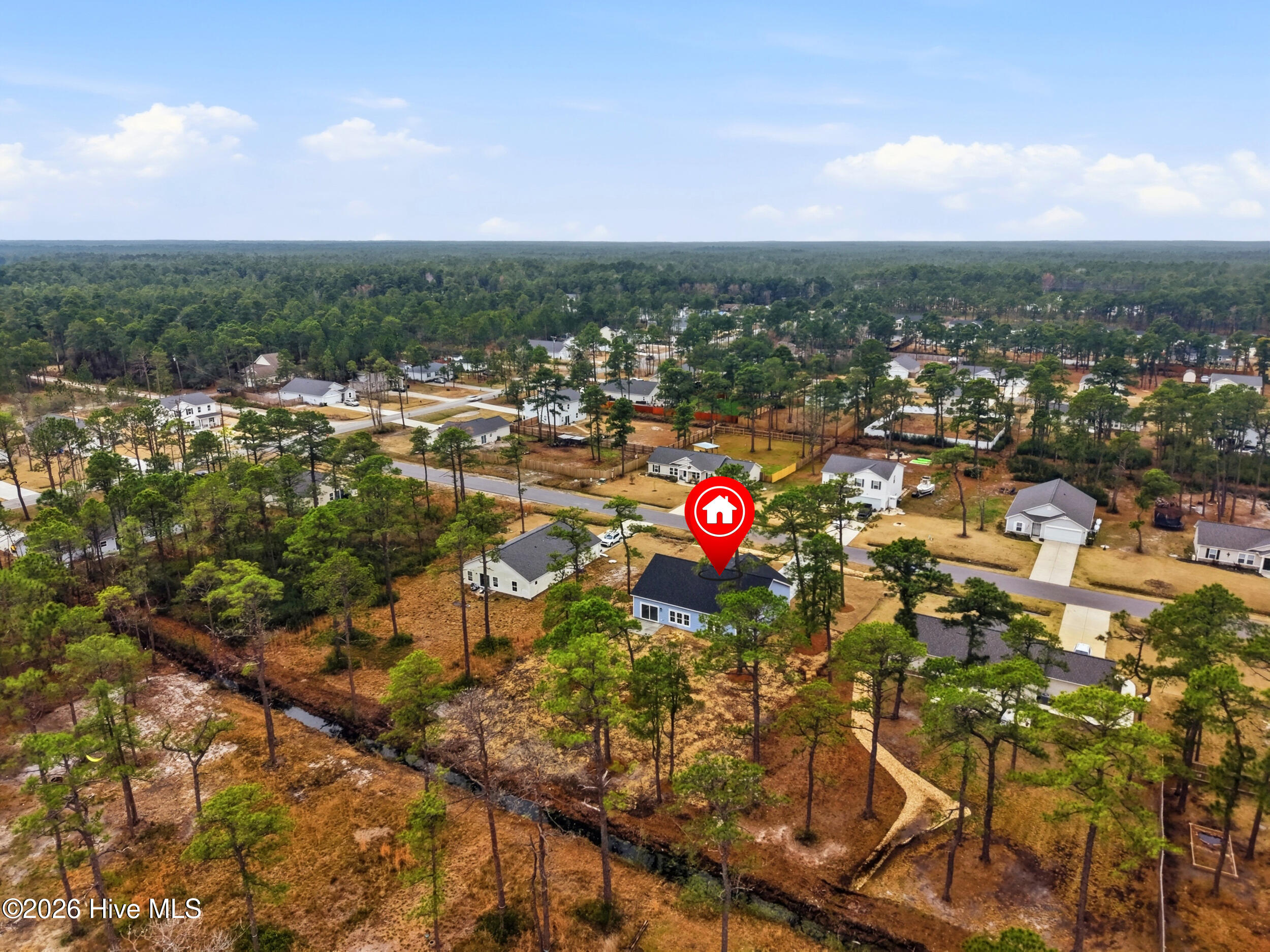 100558346 | Photo 39