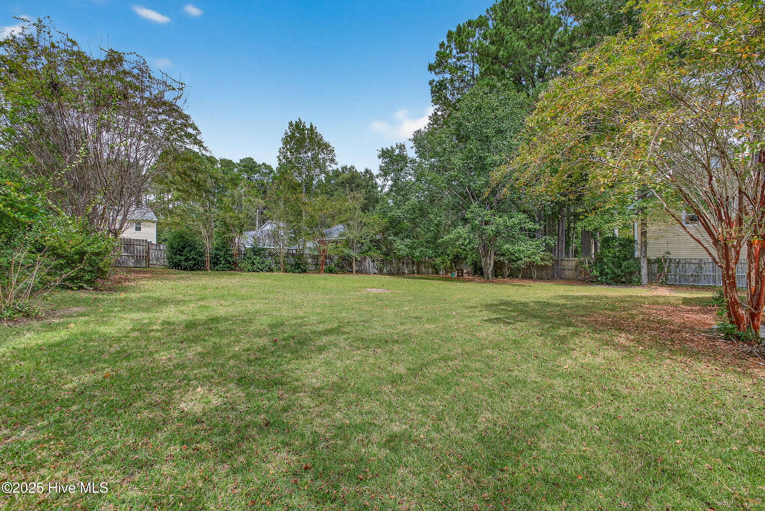 100531663 | Photo 38