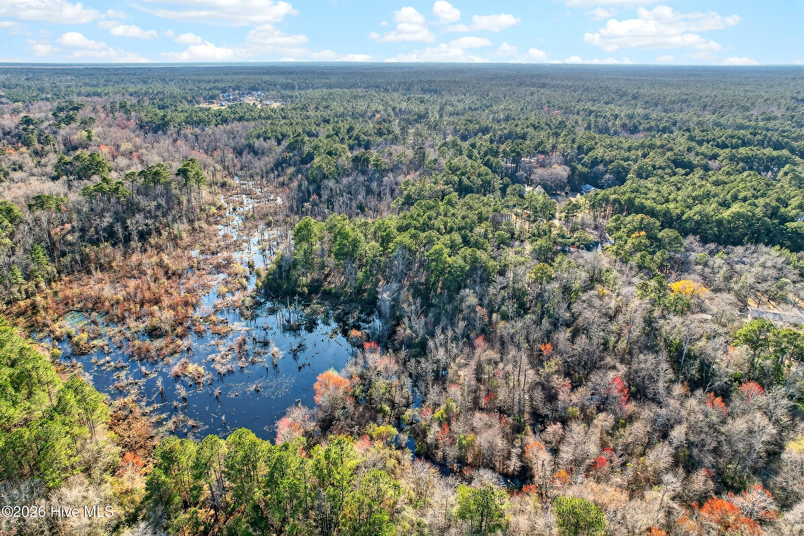 100559126 | Photo 42