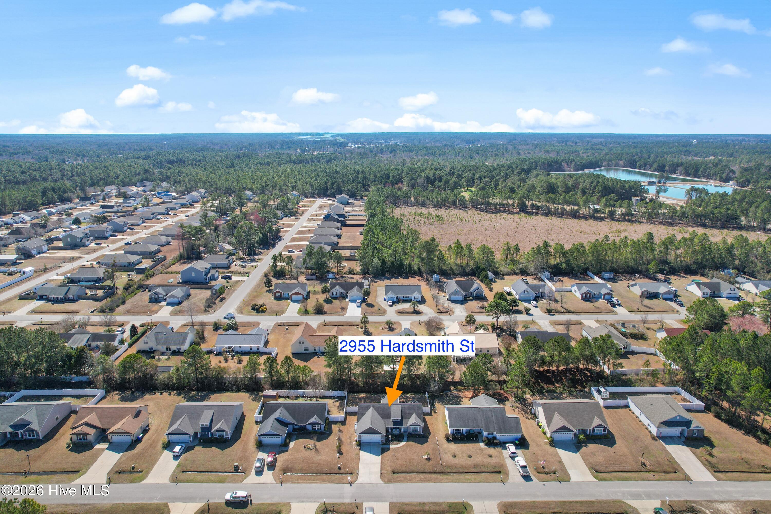 100556546 | Photo 36