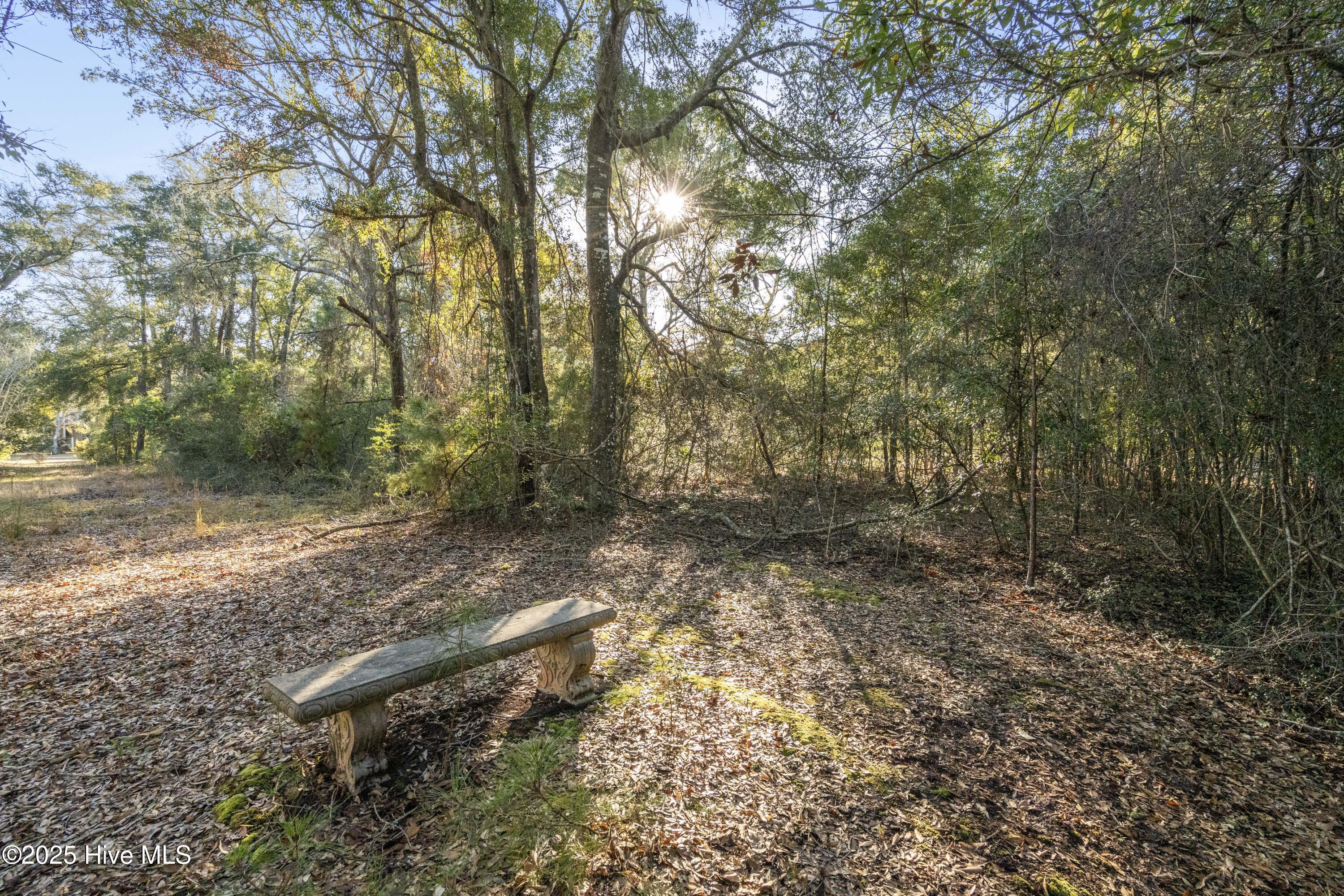 100545322 | Photo 12