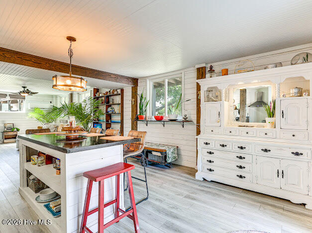 100558196 | Photo 25