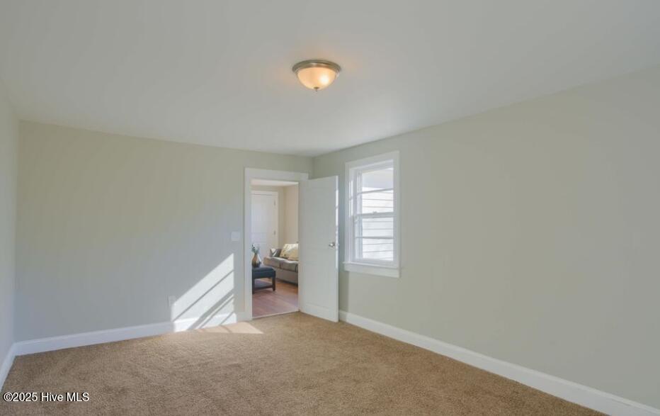 100540000 | Photo 11