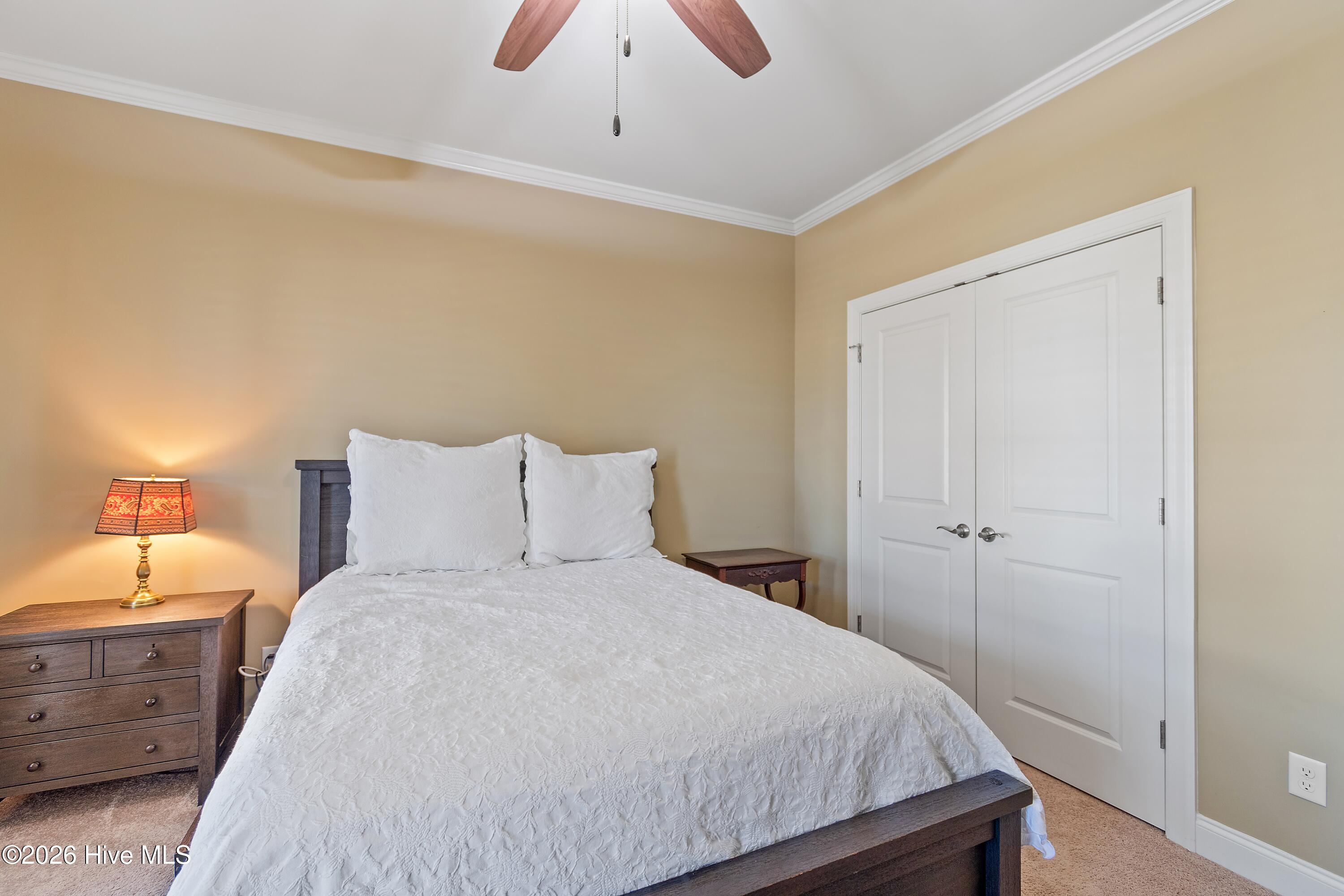 100558419 | Photo 39