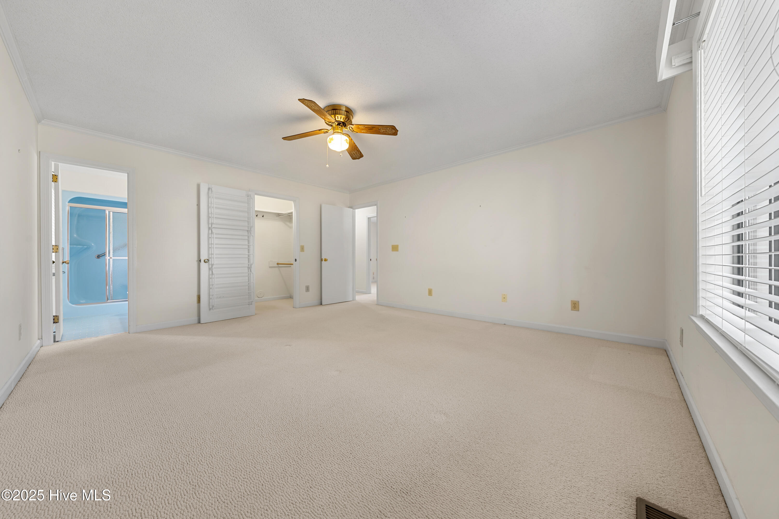 100542635 | Photo 16