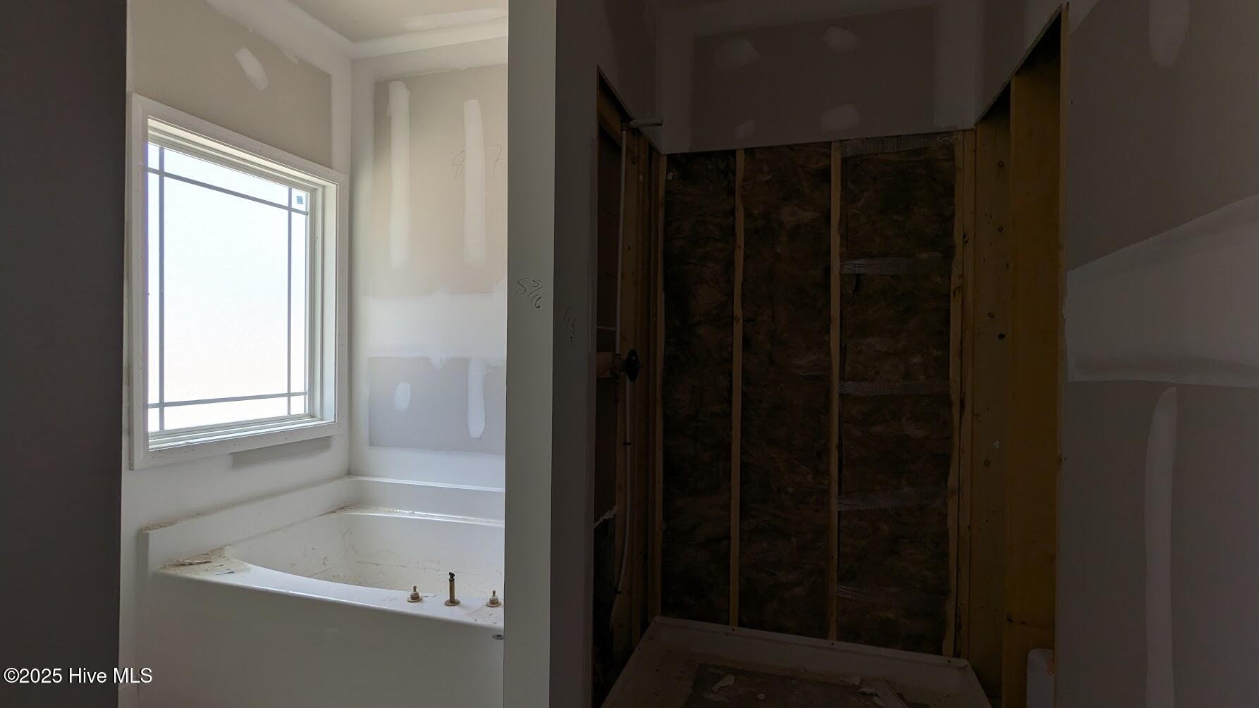 primary tub and shower