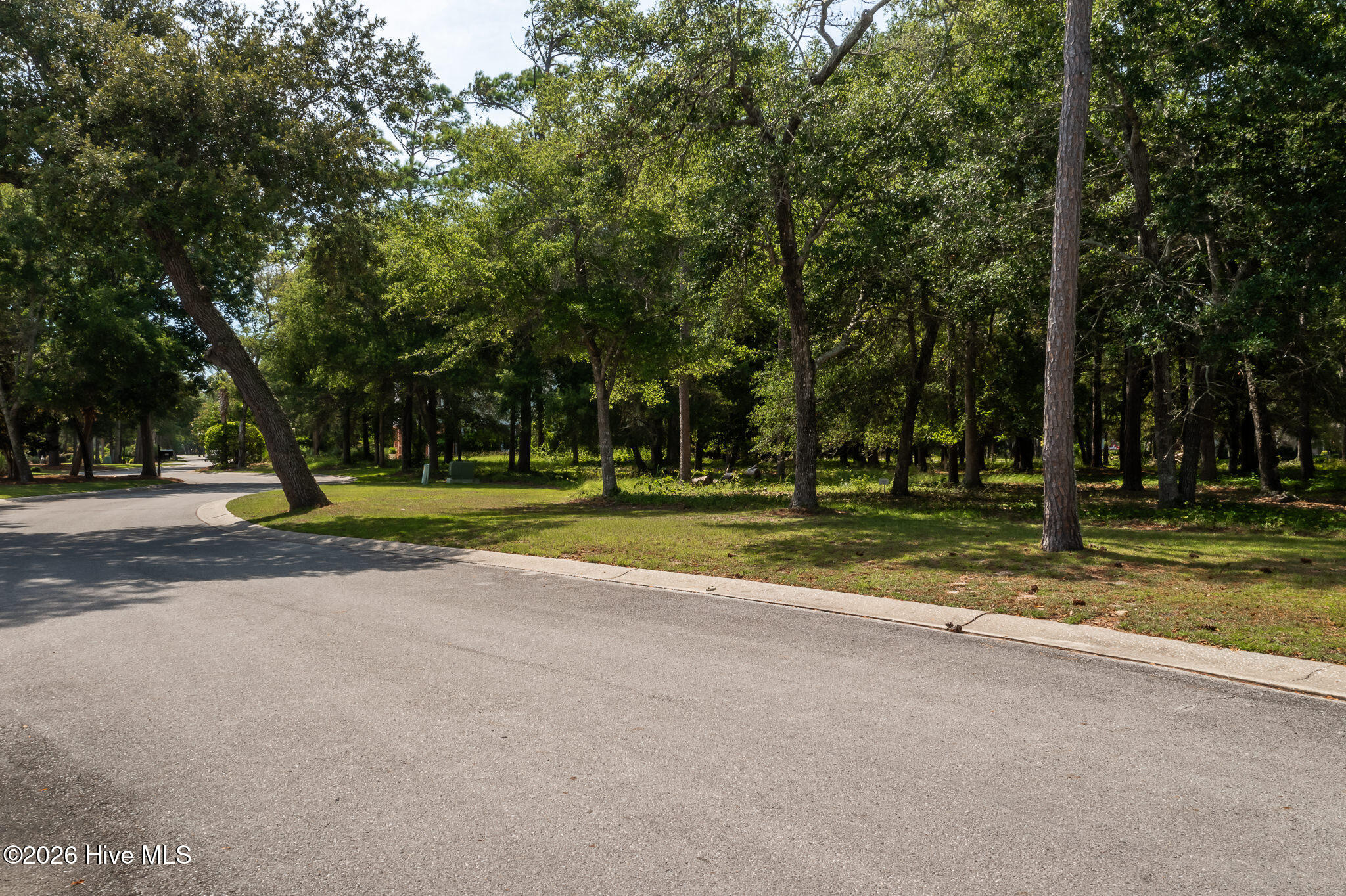 100559457 | Photo 20