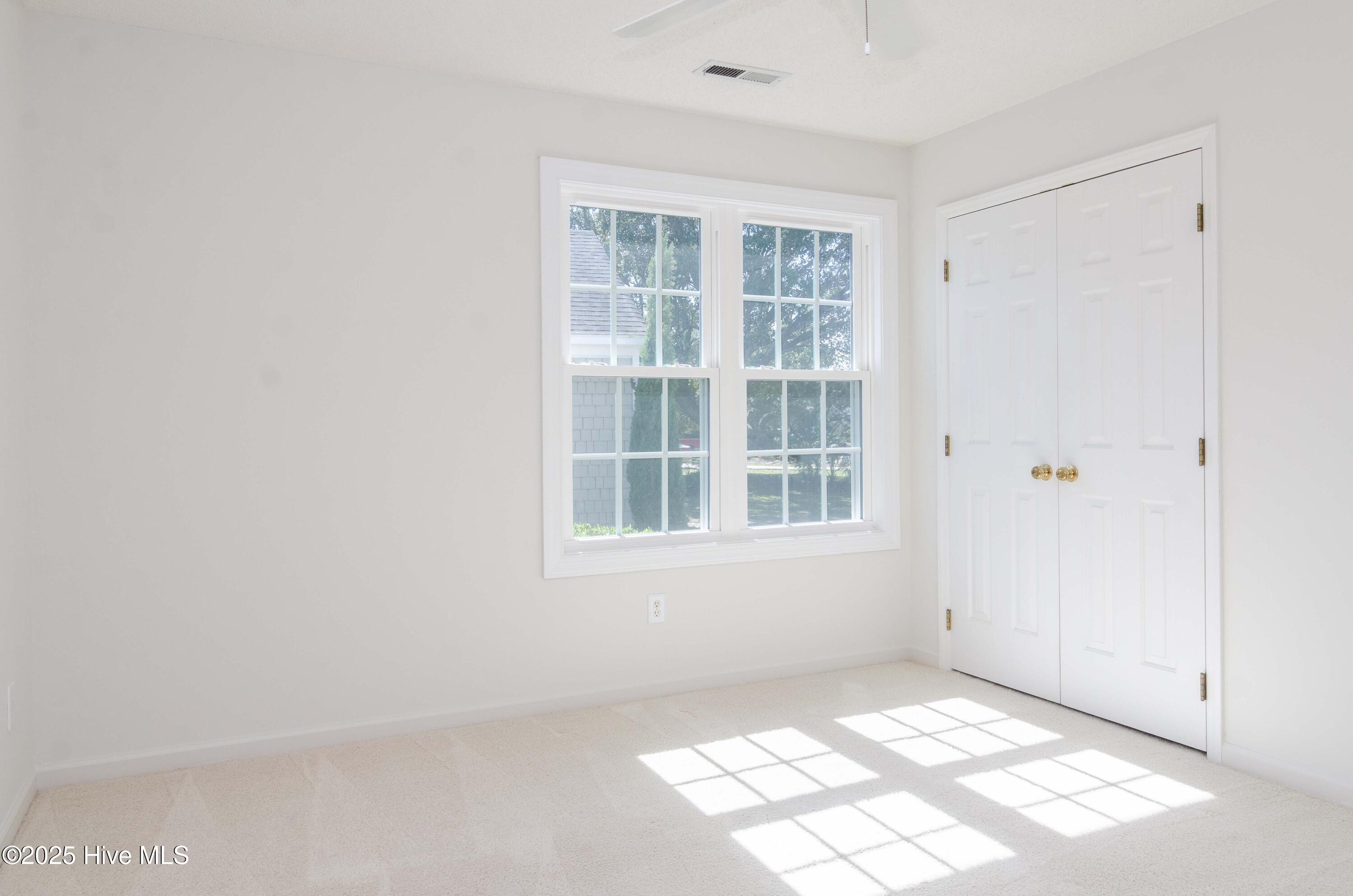 100563039 | Photo 25