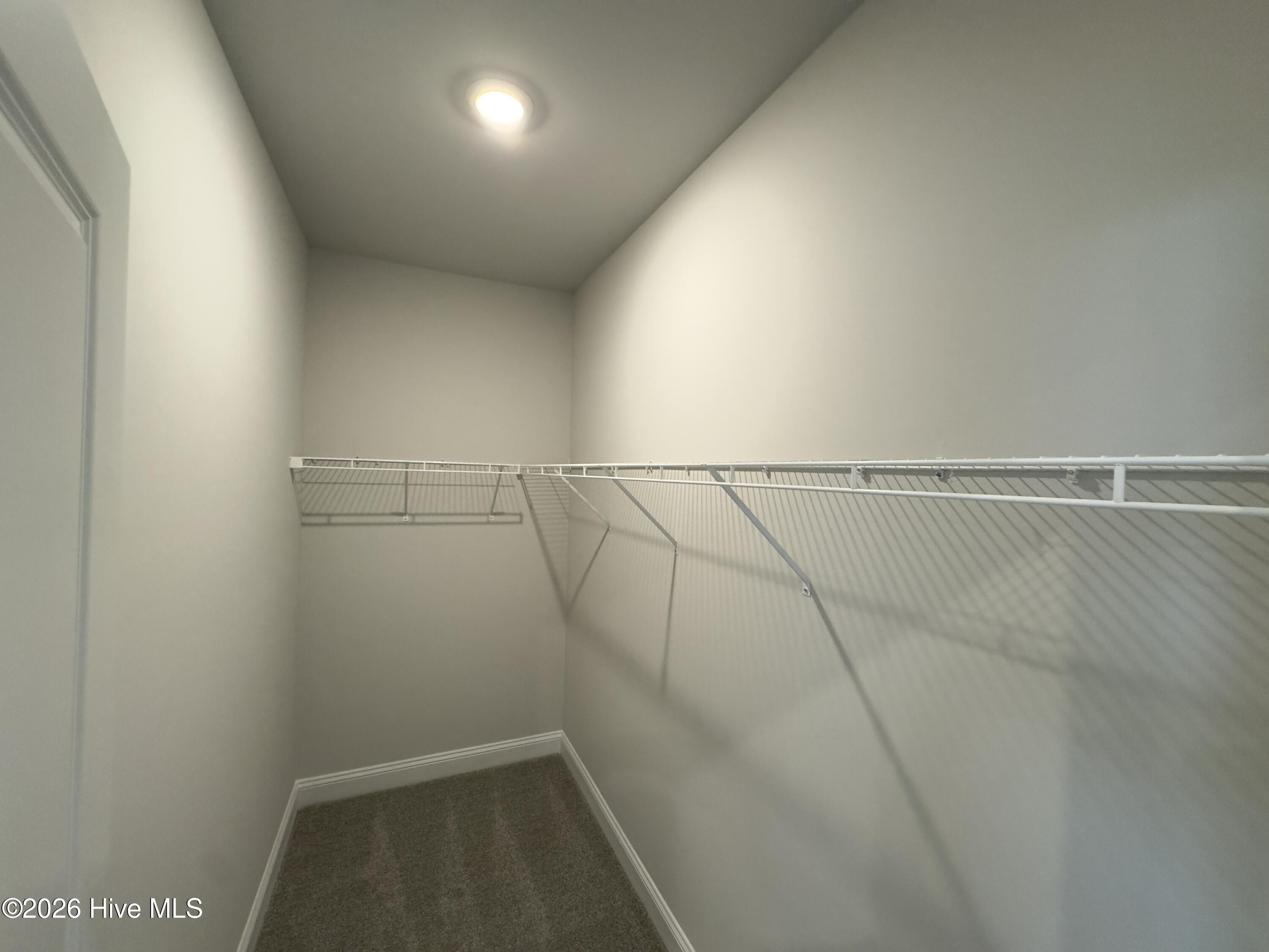 100563267 | Photo 16