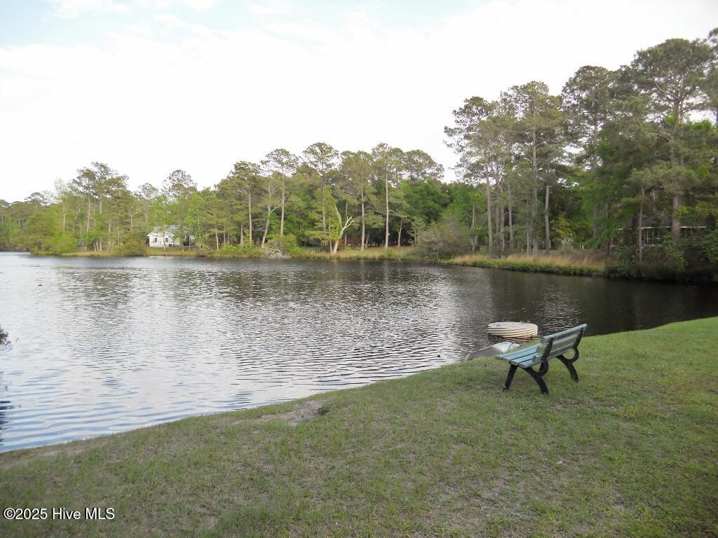 100522536 | Photo 21