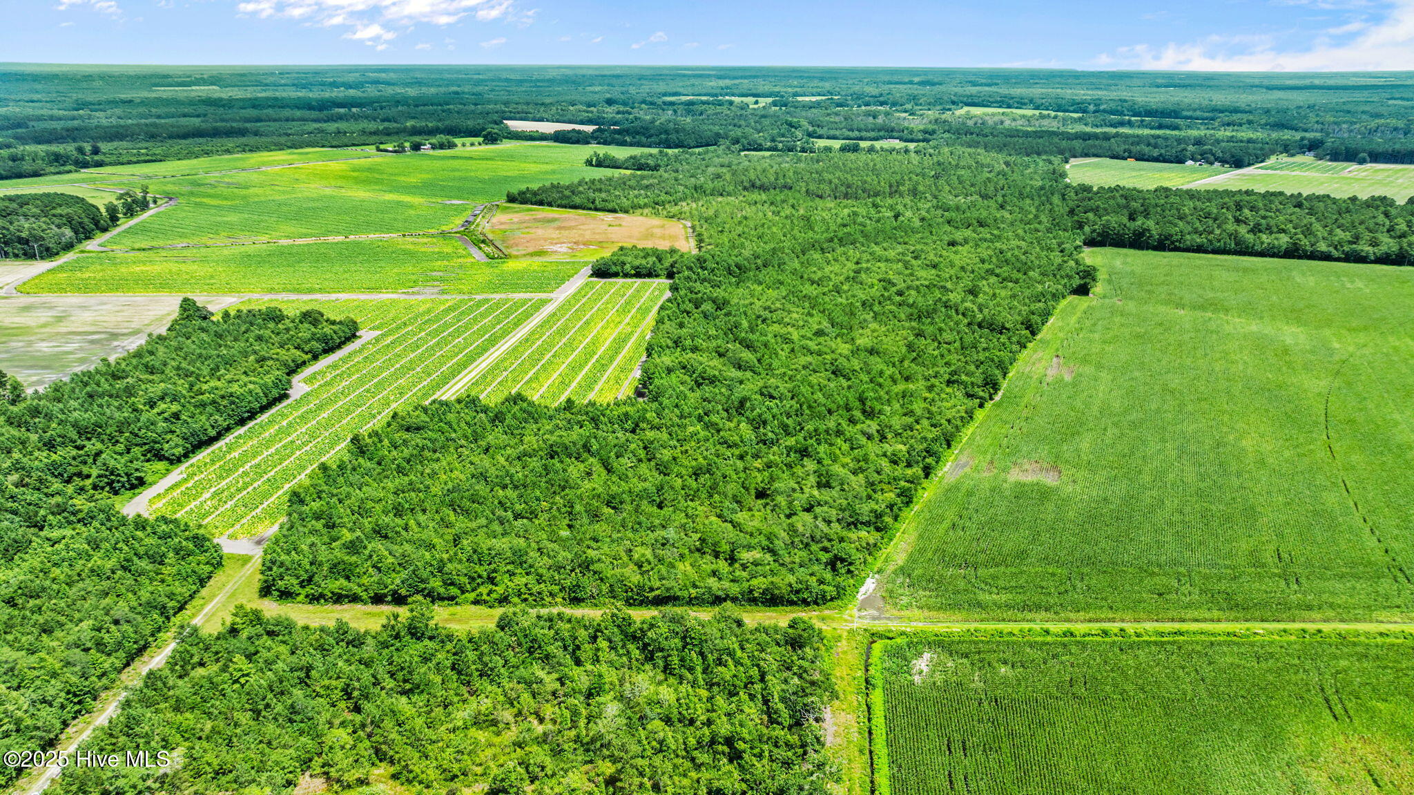 0 Green Sea Road, Garland, NC, 28441