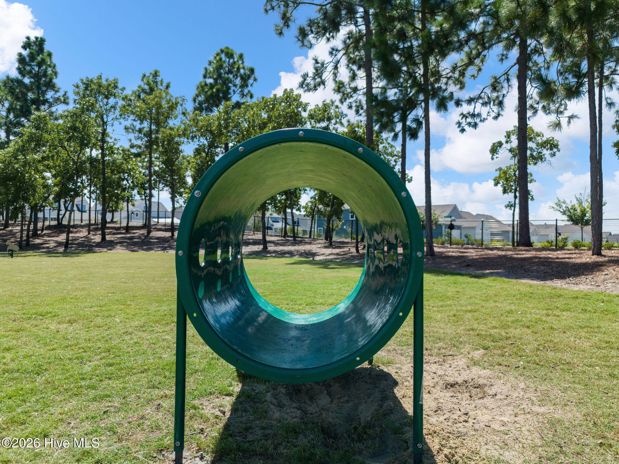 100569127 | Photo 55