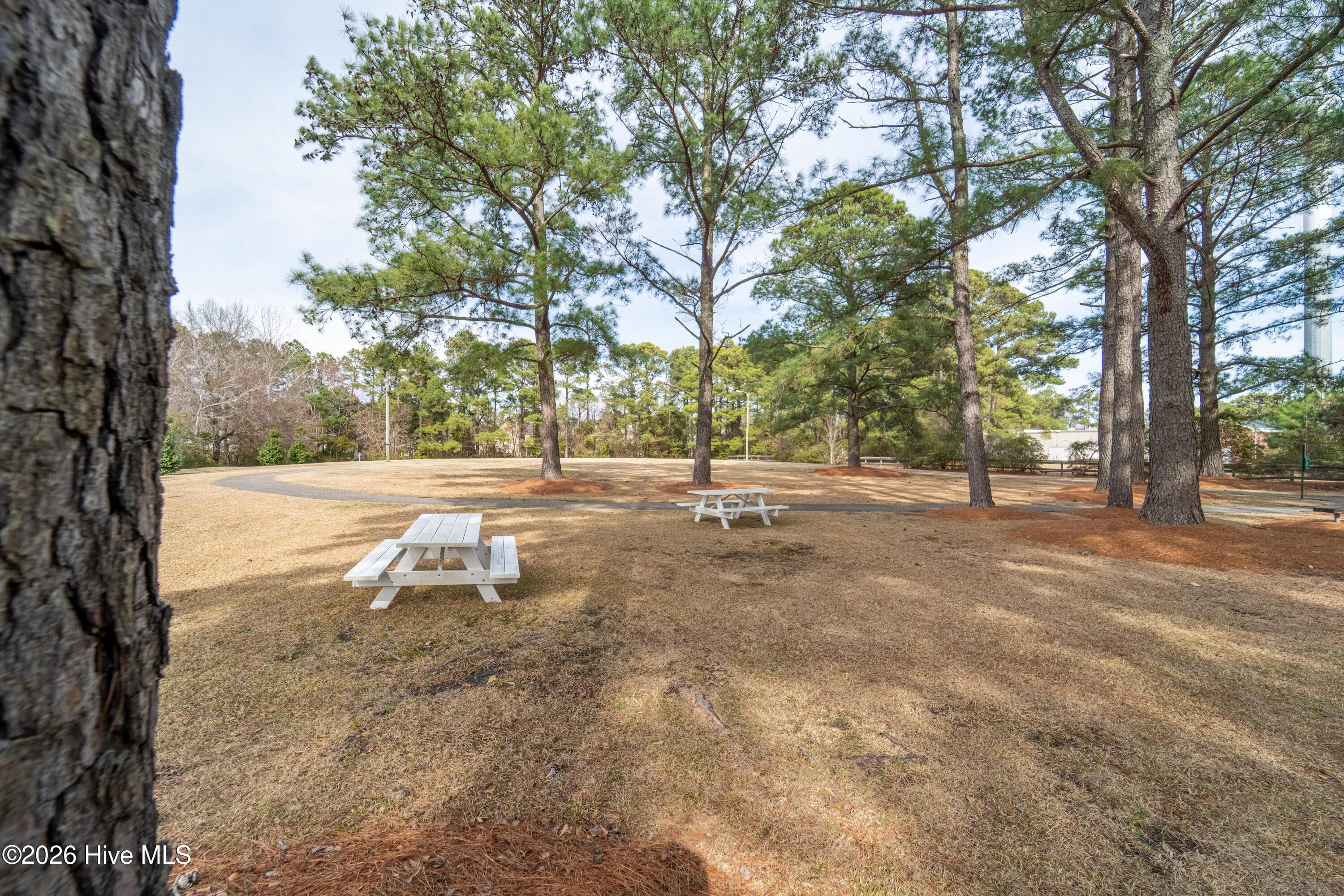 100555847 | Photo 29