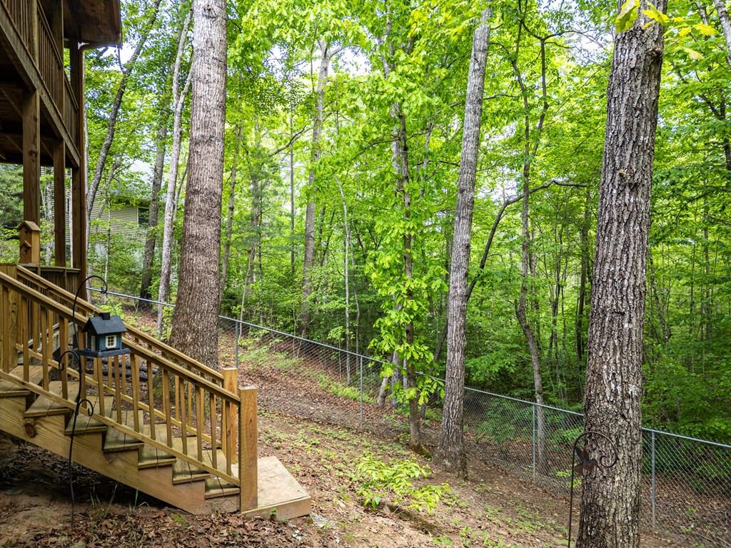 198 Dew Drop Lane, Murphy, NC 28906 Listing Photo  31
