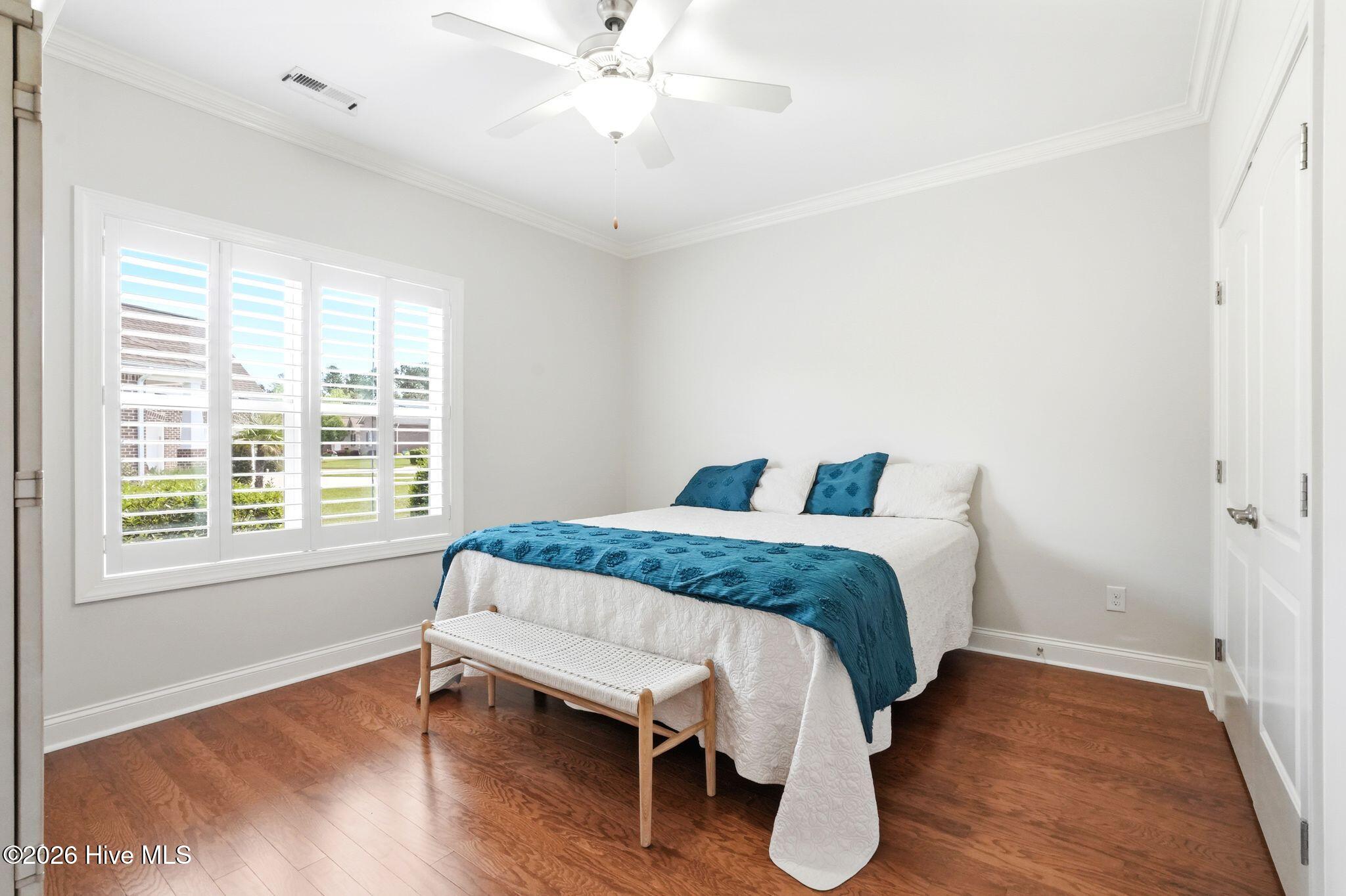 100565235 | Photo 50