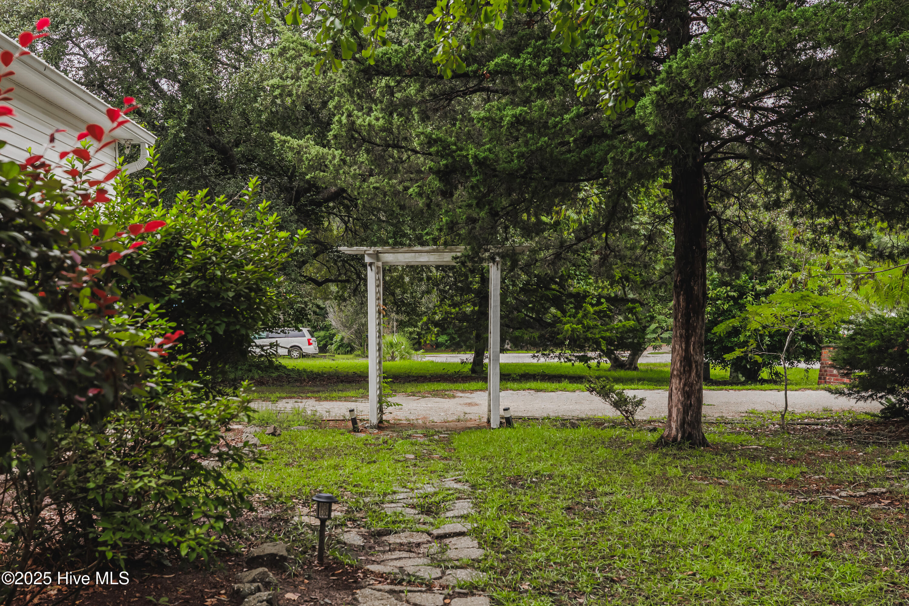 100524257 | Photo 31