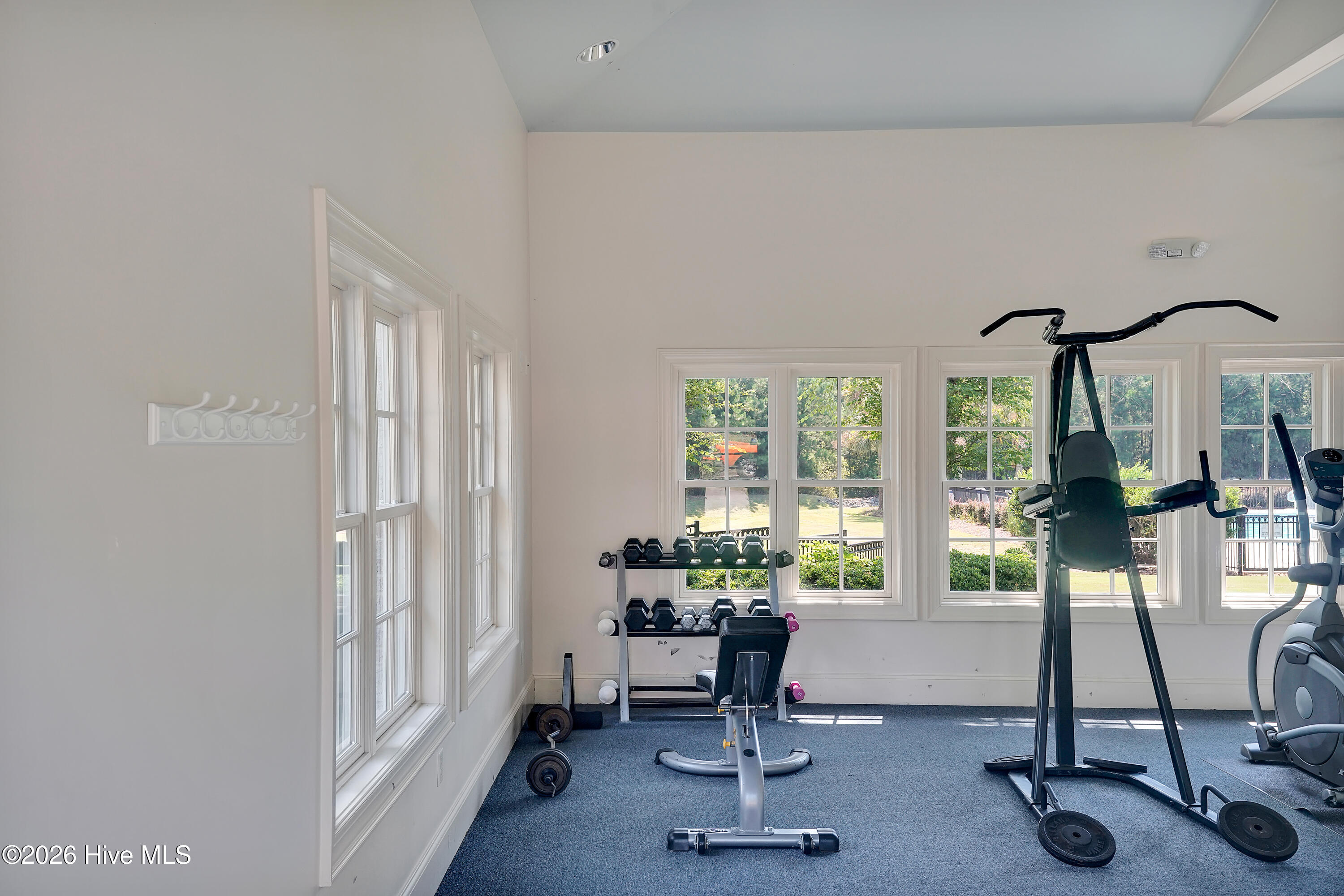 100569984 | Photo 29