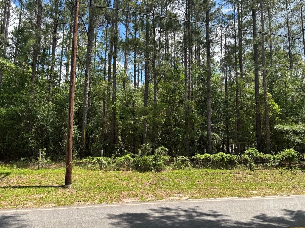 Homes for sale in Ellabell, GA | 307 Arden Loop Cir, Ellabell, GA 31308 | MLS# SA332331