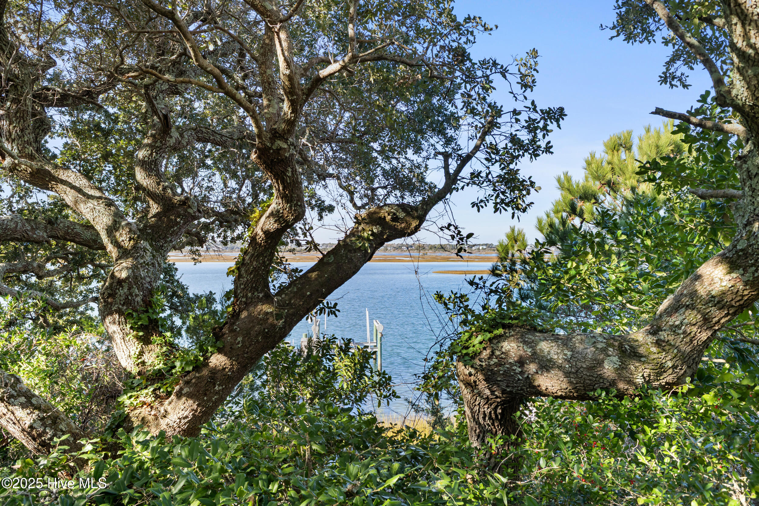 100545417 | Photo 42