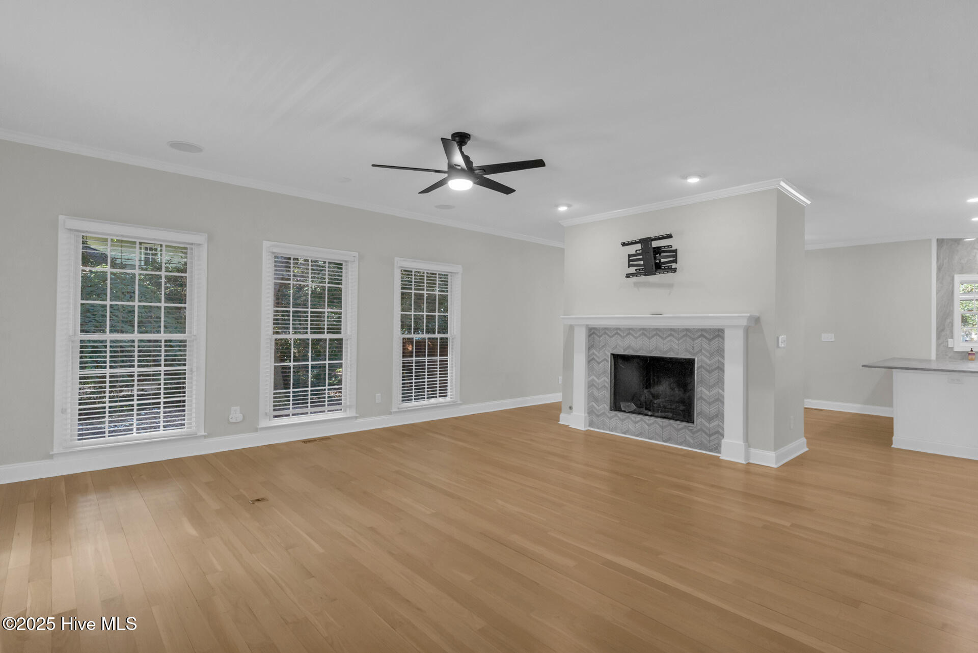 100532167 | Photo 11