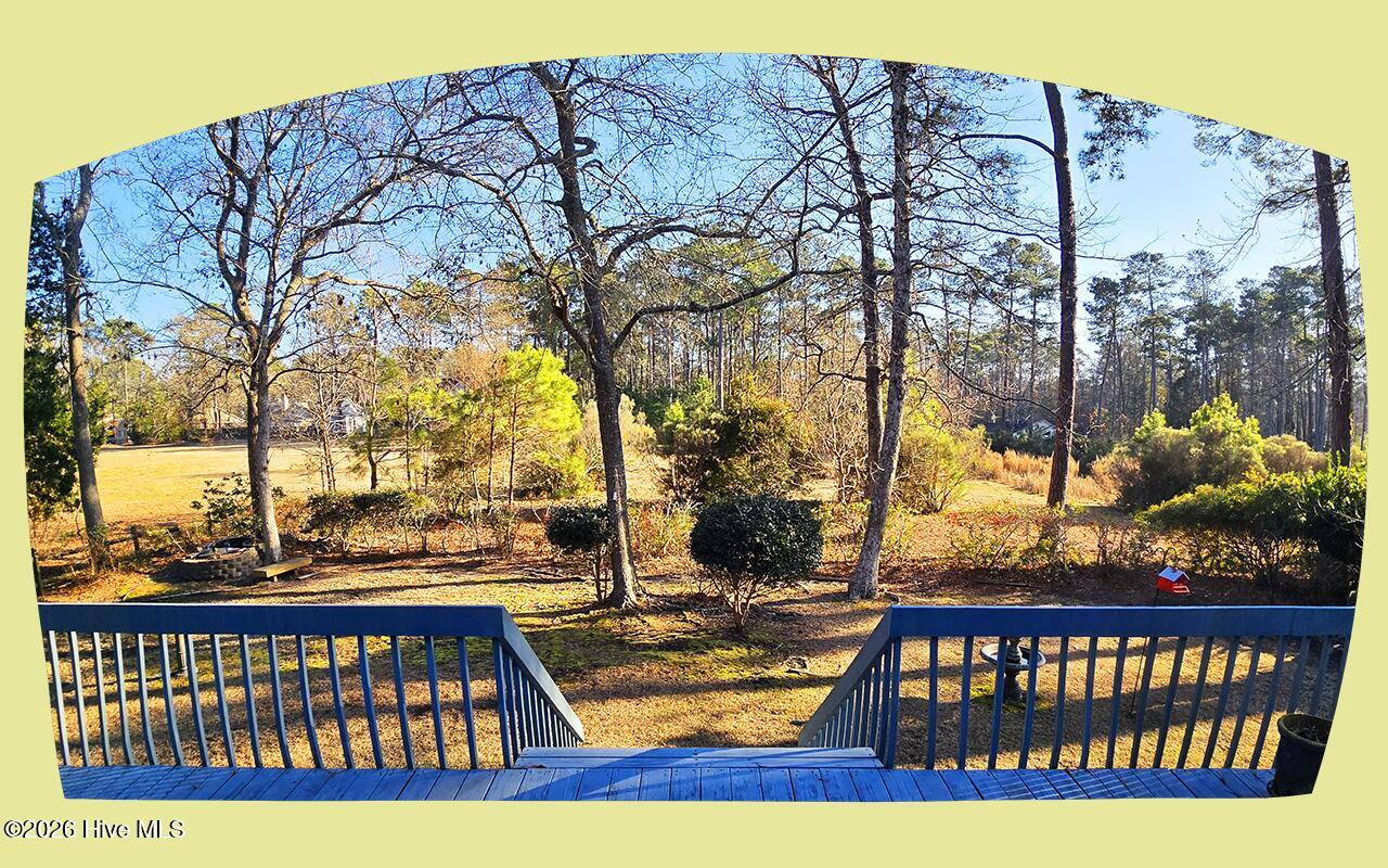 100551235 | Photo 30