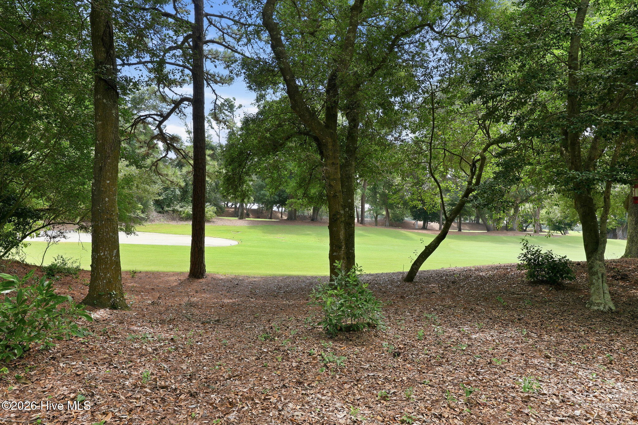 131 Oakleaf 