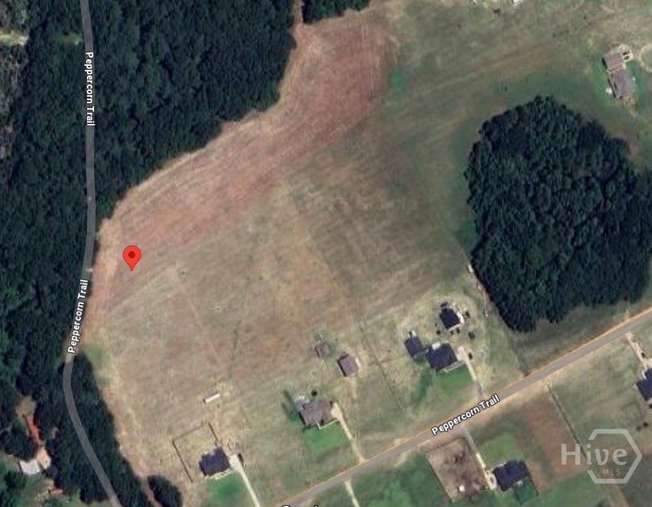 Homes for sale in Pembroke, GA | 0 Peppercorn Trl, Pembroke, GA 31321 | MLS# SA335417