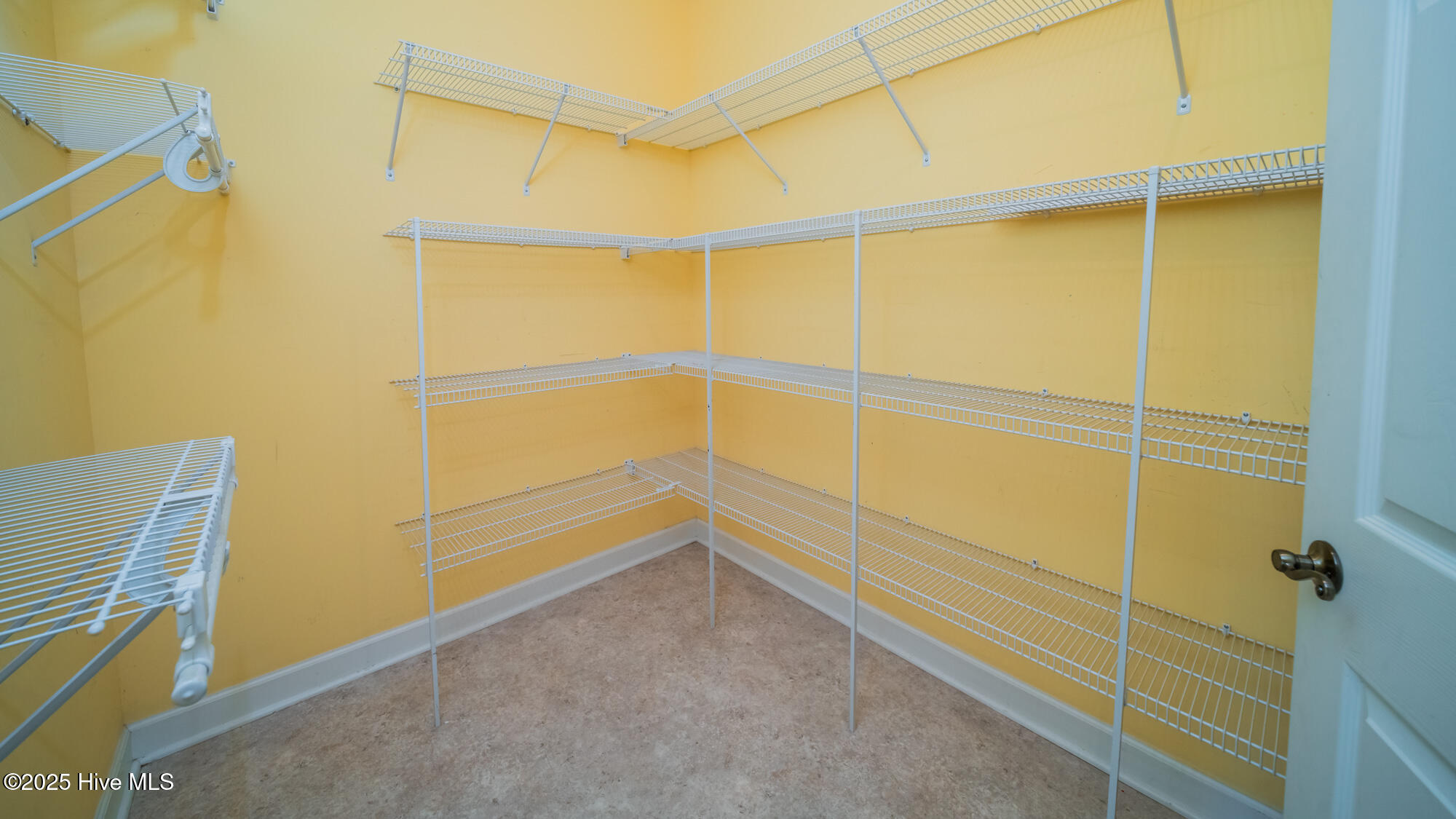 100516325 | Photo 35