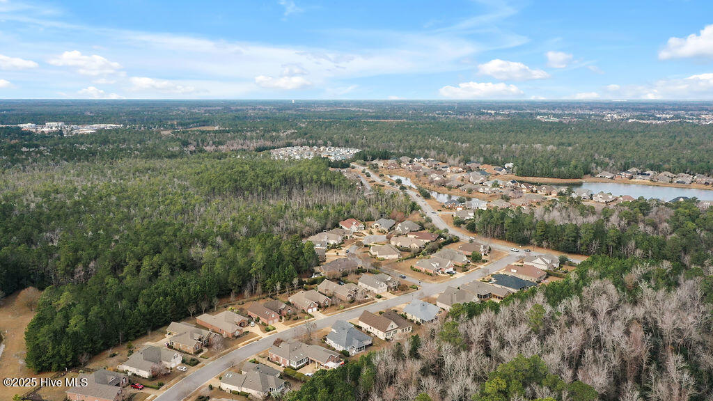 100544597 | Photo 43