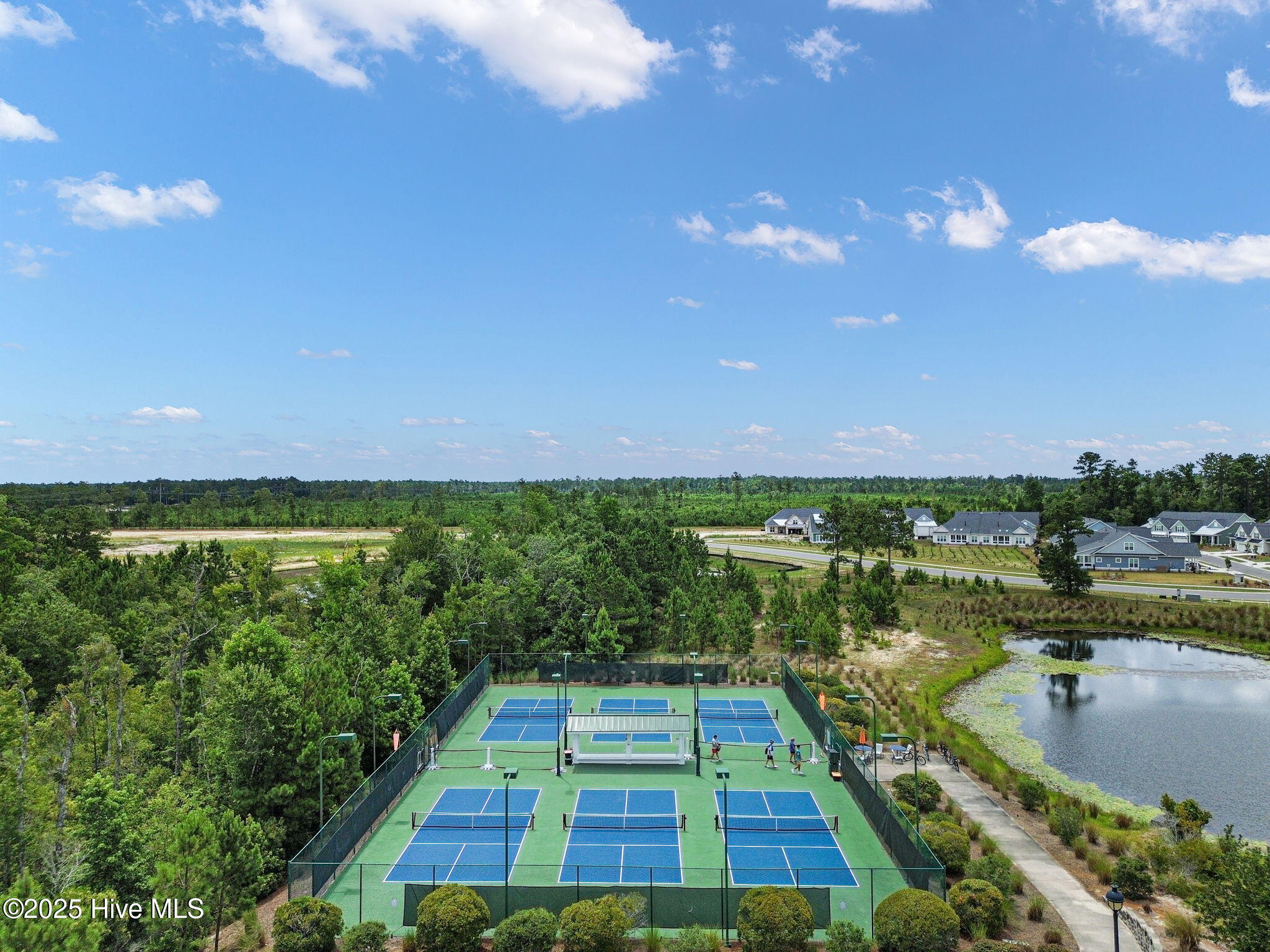 100529992 | Photo 50