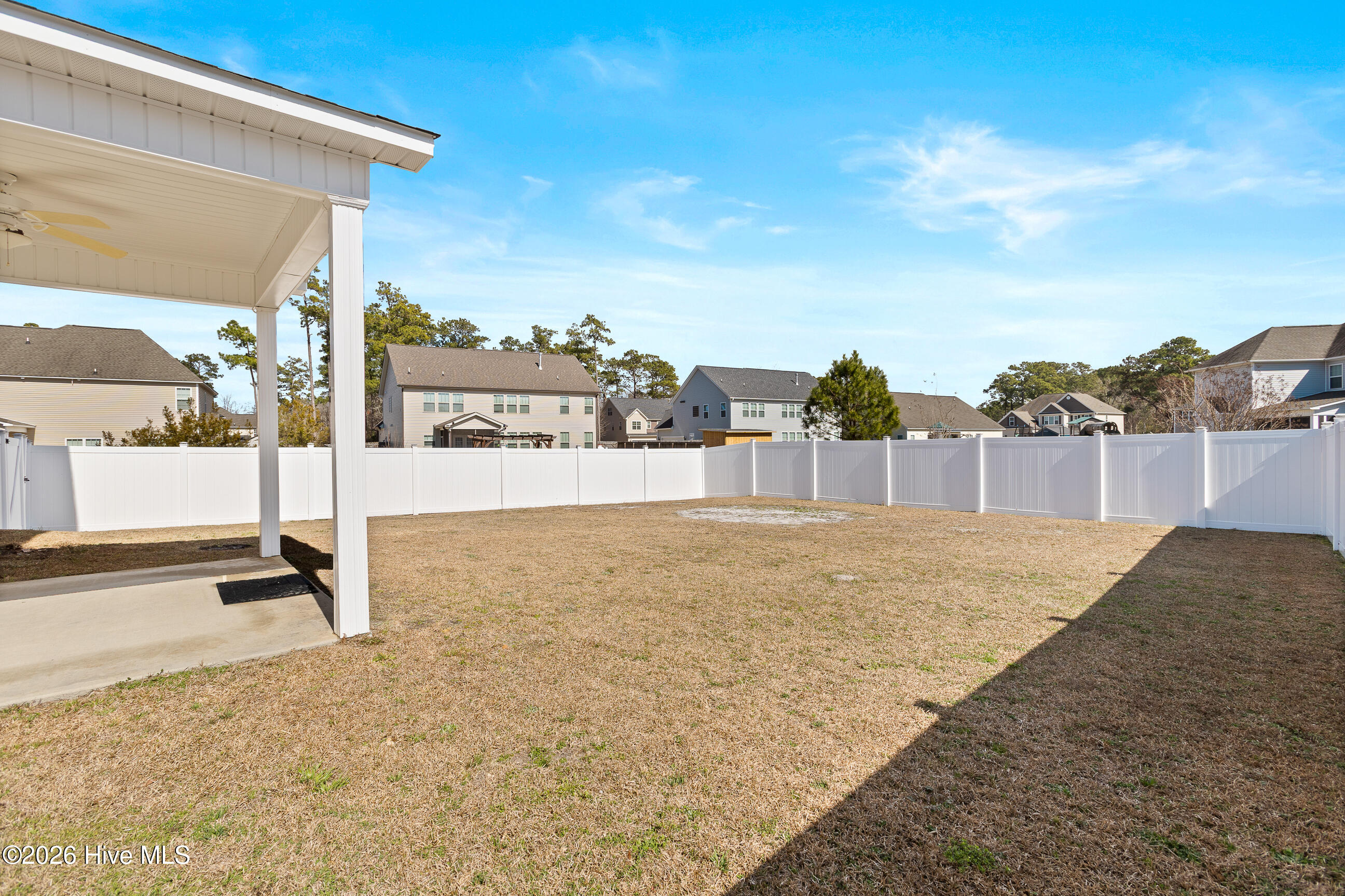 100557533 | Photo 35