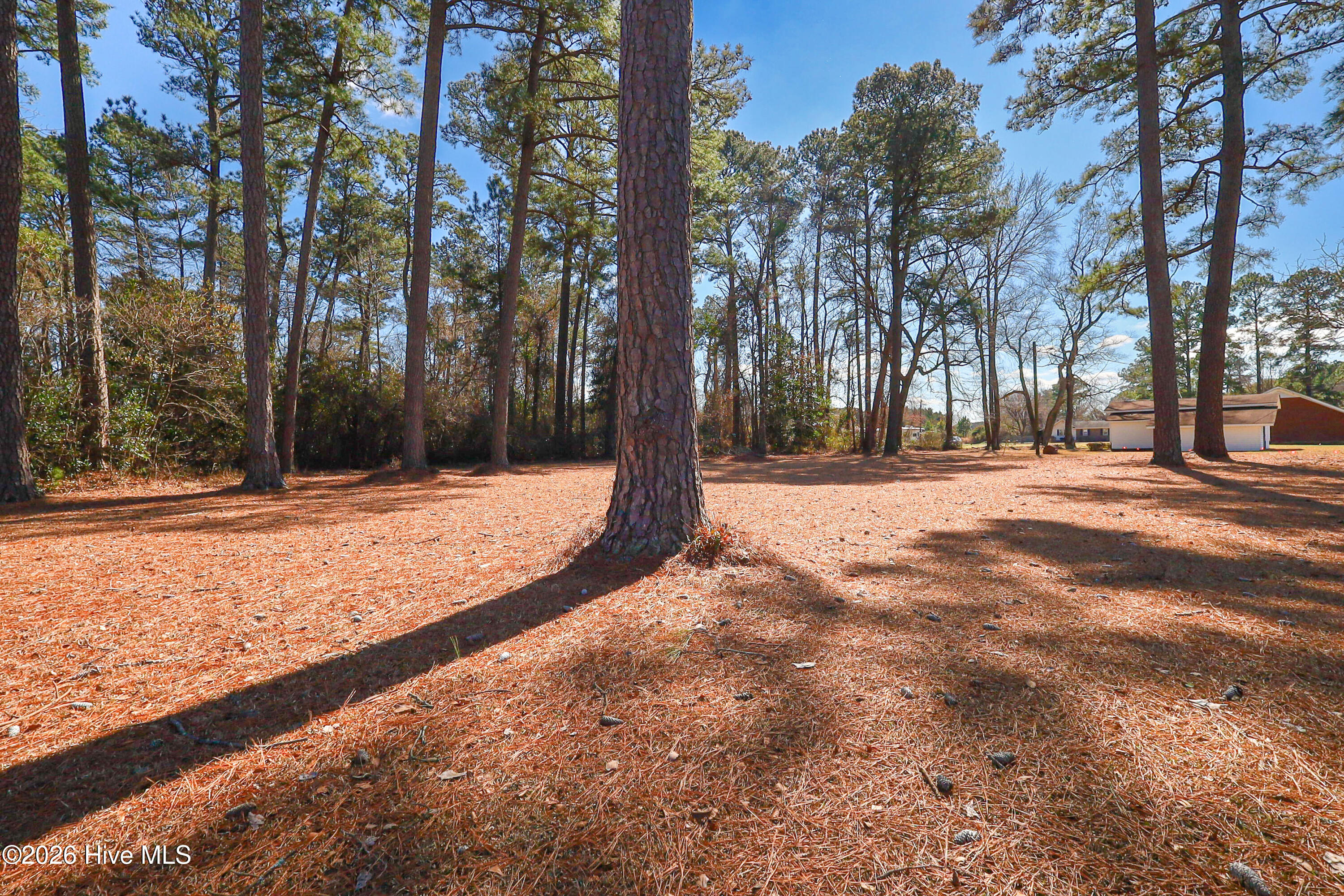 100556838 | Photo 48