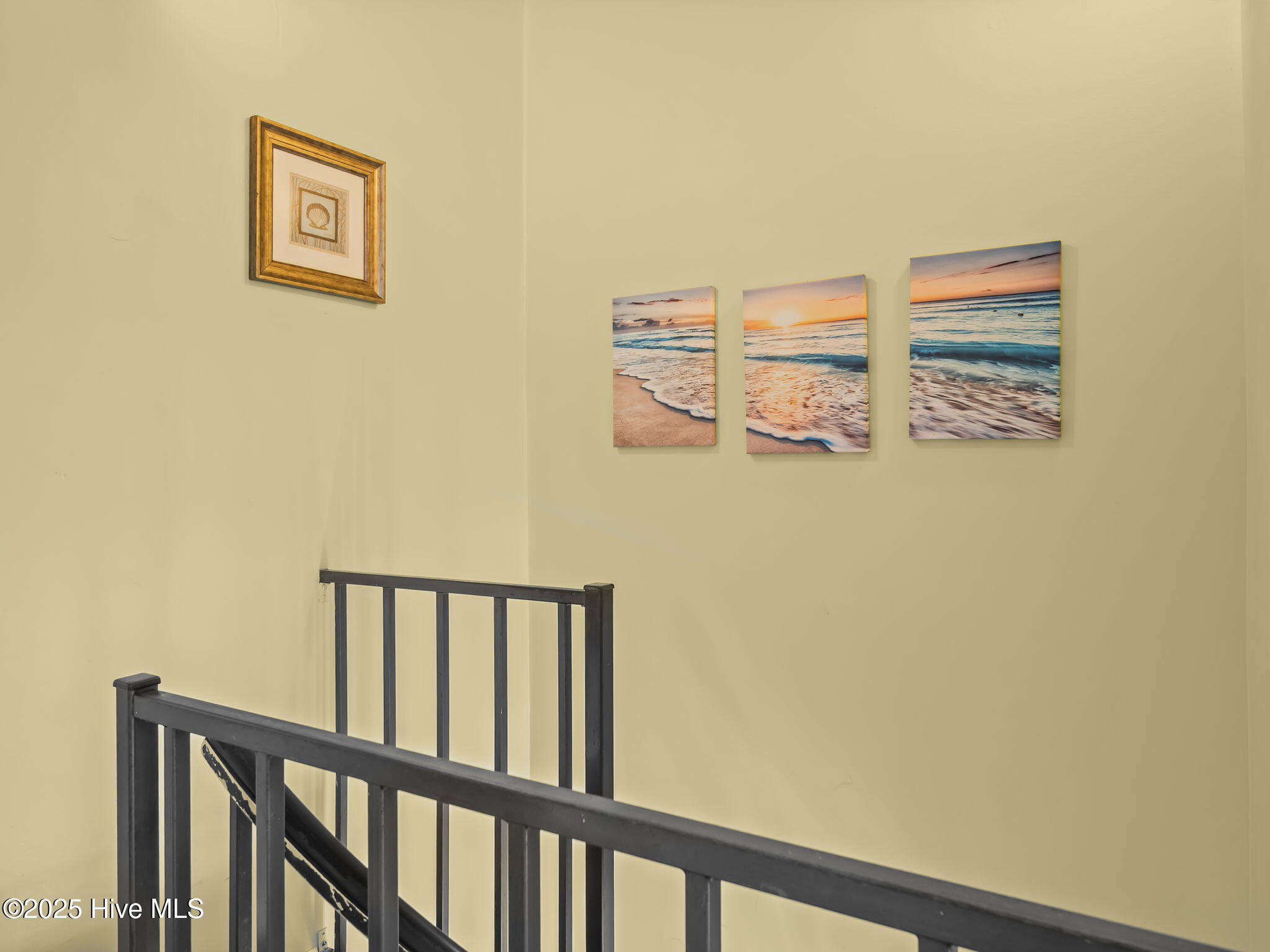 100534121 | Photo 21