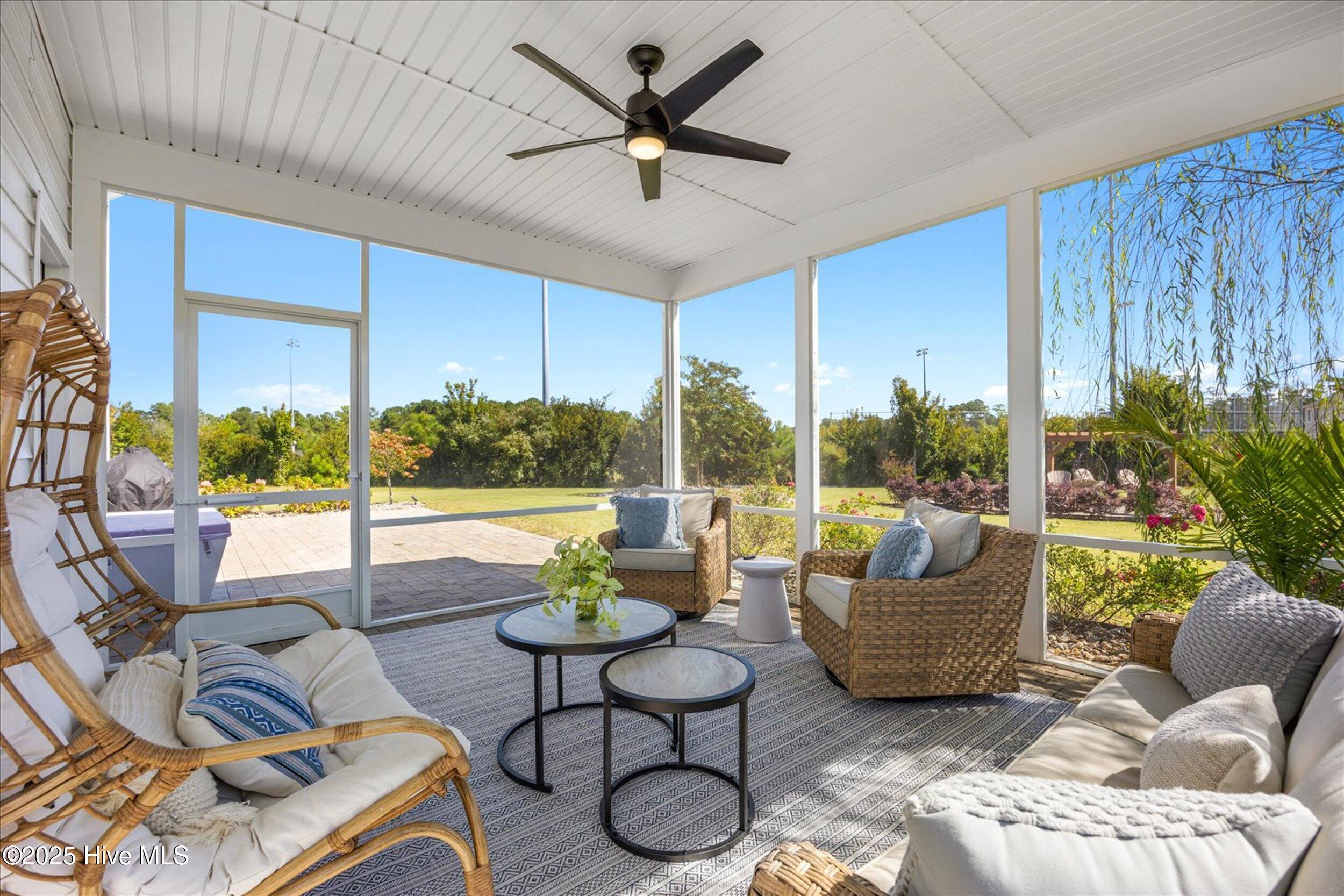 100546095 | Photo 13