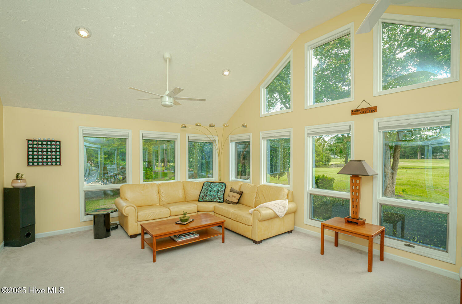 100524429 | Photo 21