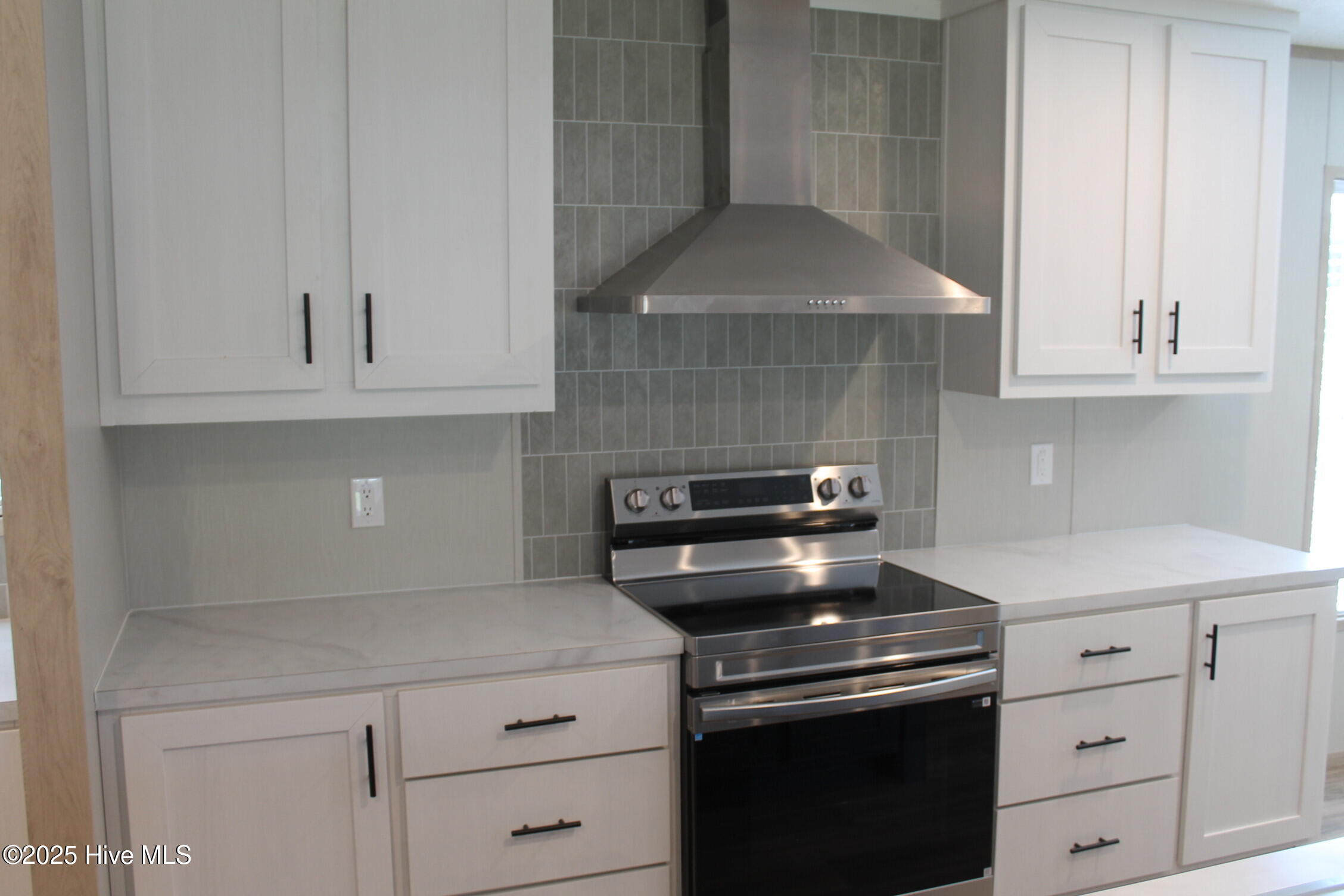 100528403 | Photo 21