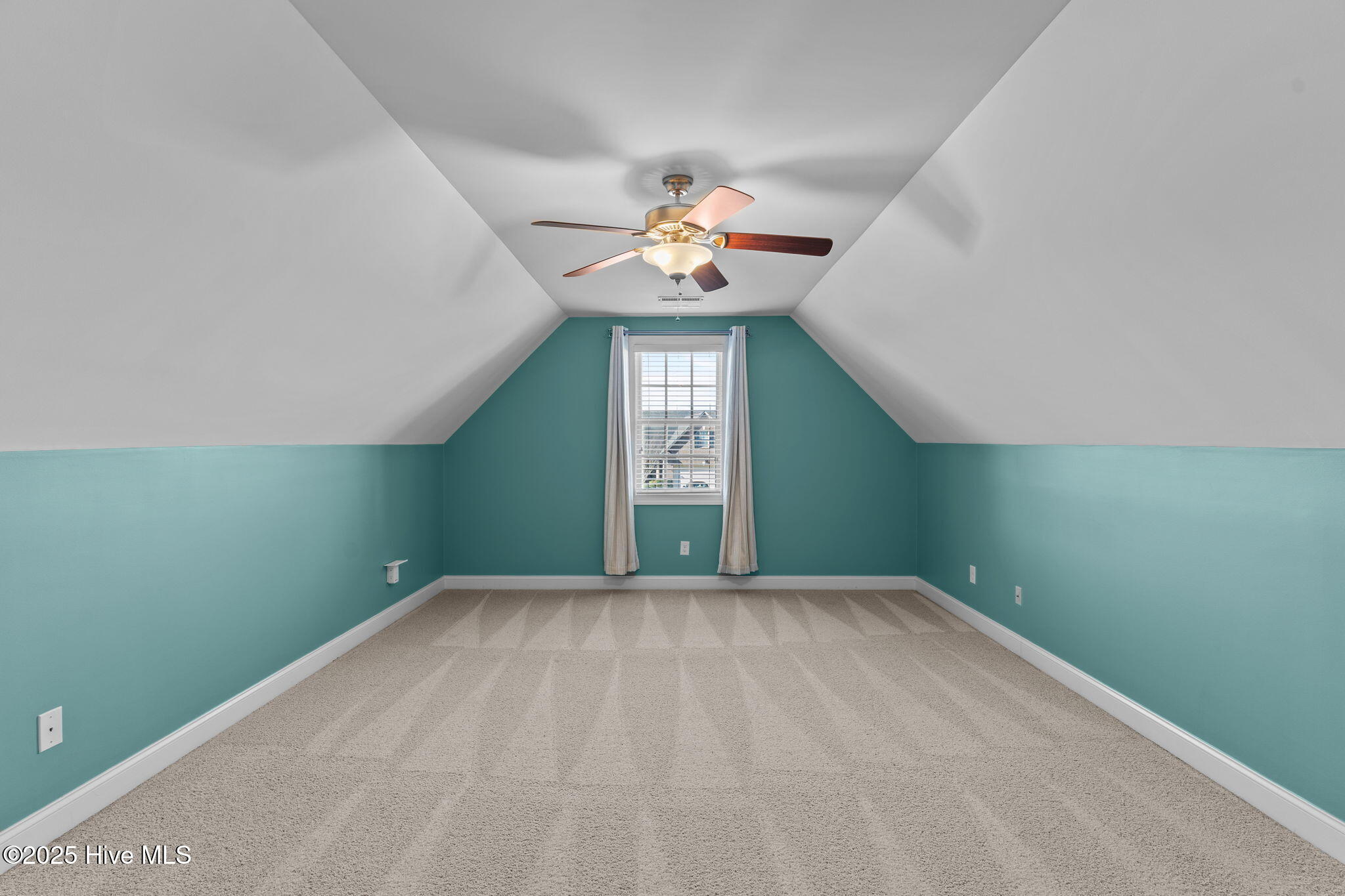 100541169 | Photo 27