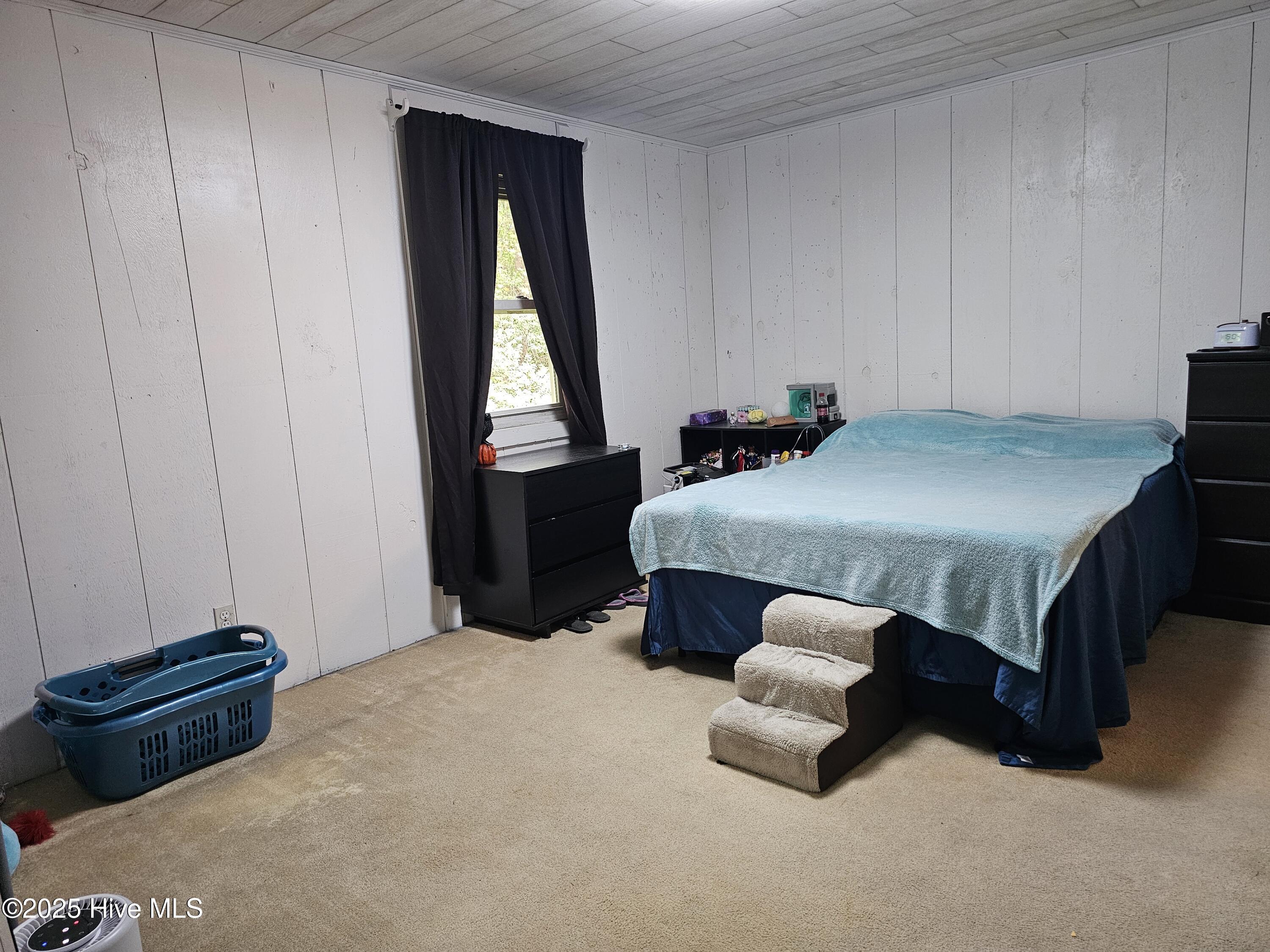 100531382 | Photo 17