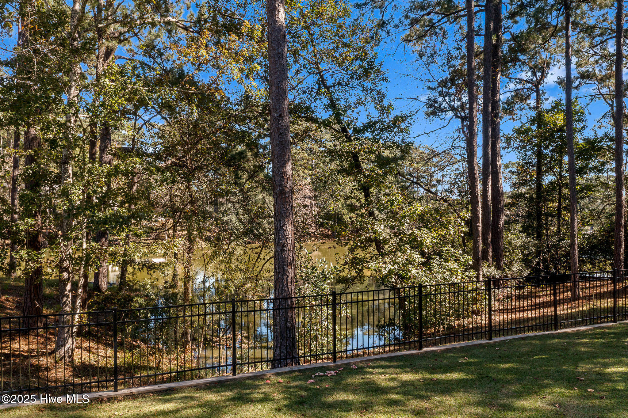 100540412 | Photo 68