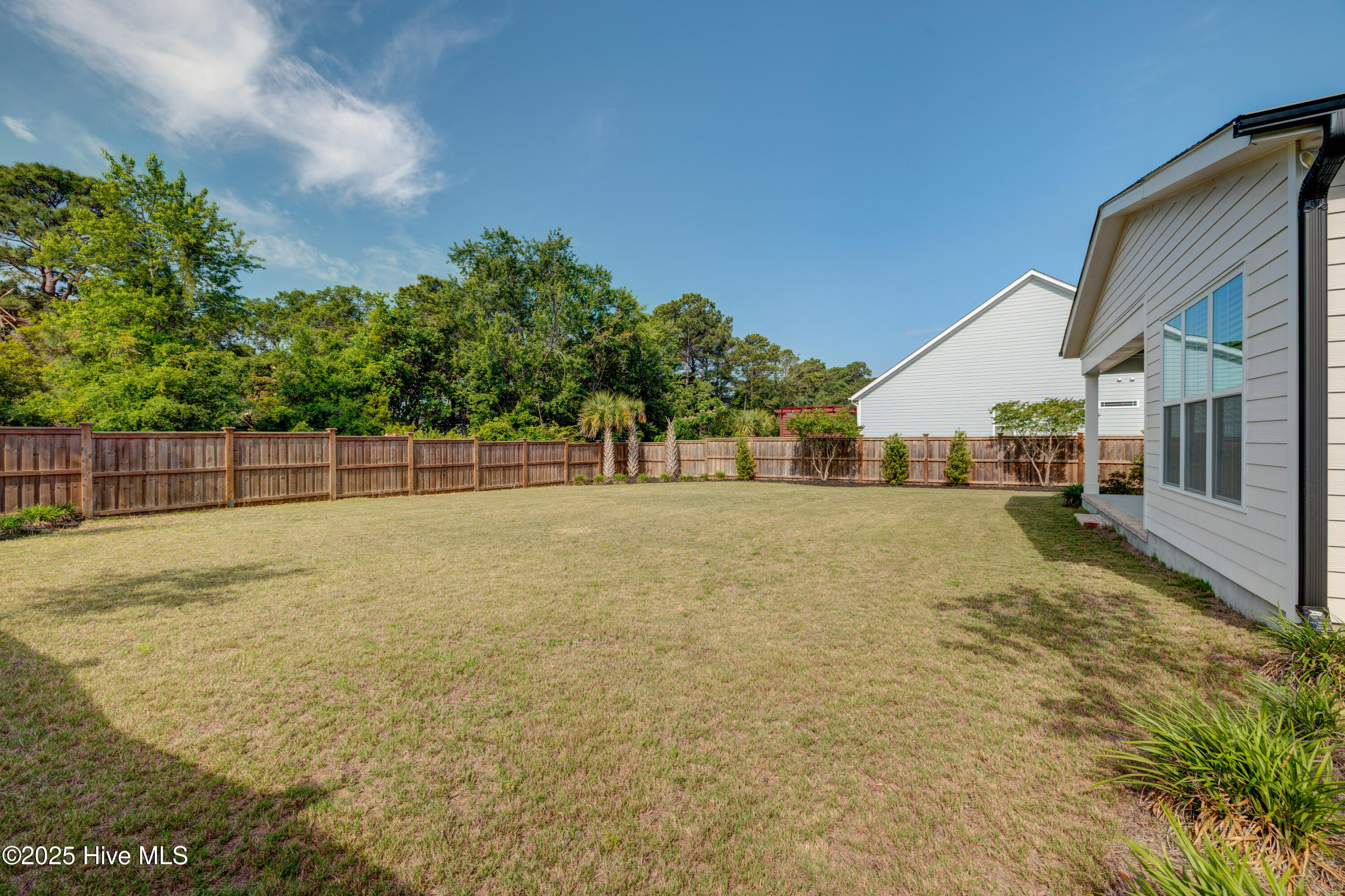 100553417 | Photo 65