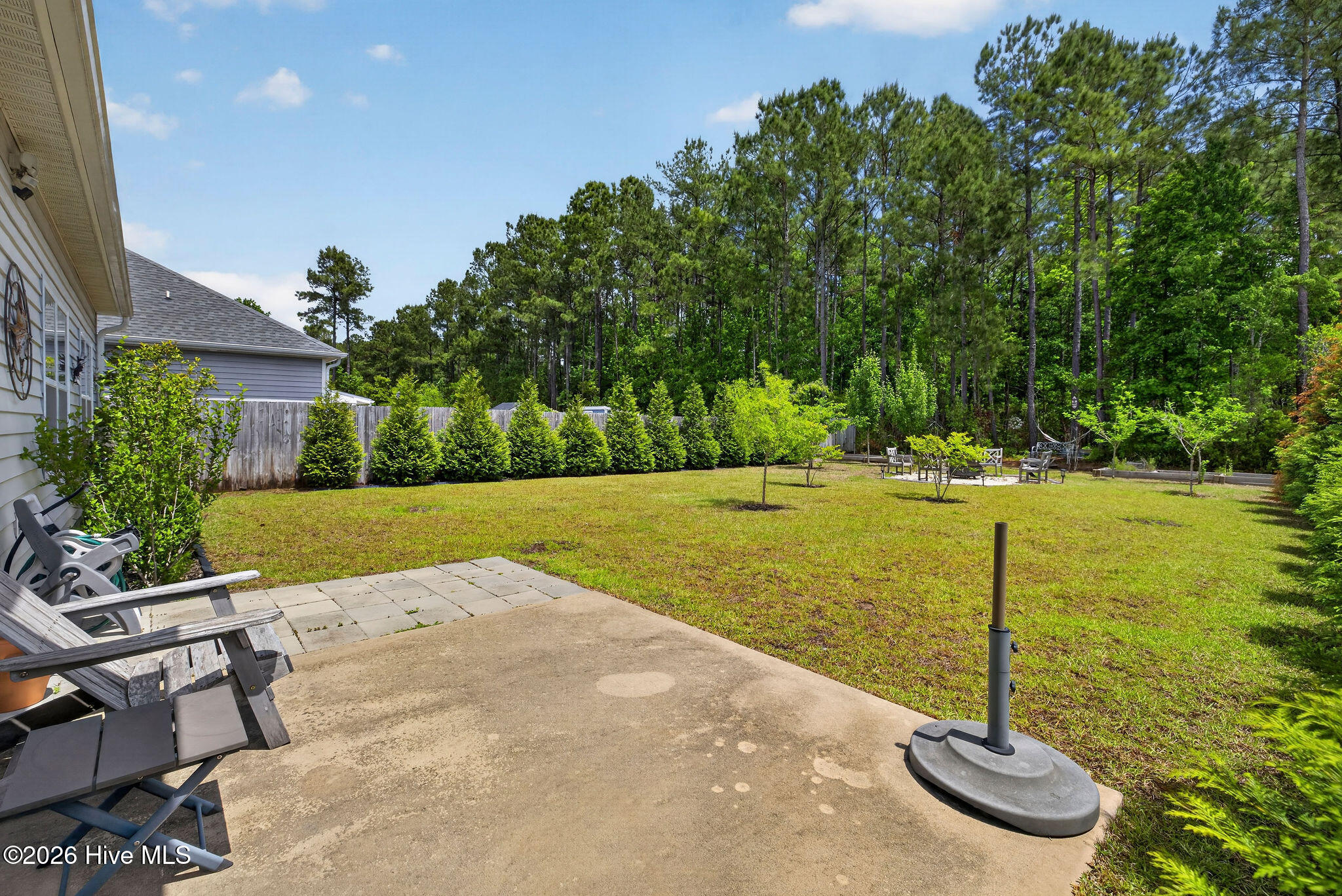 100570074 | Photo 39