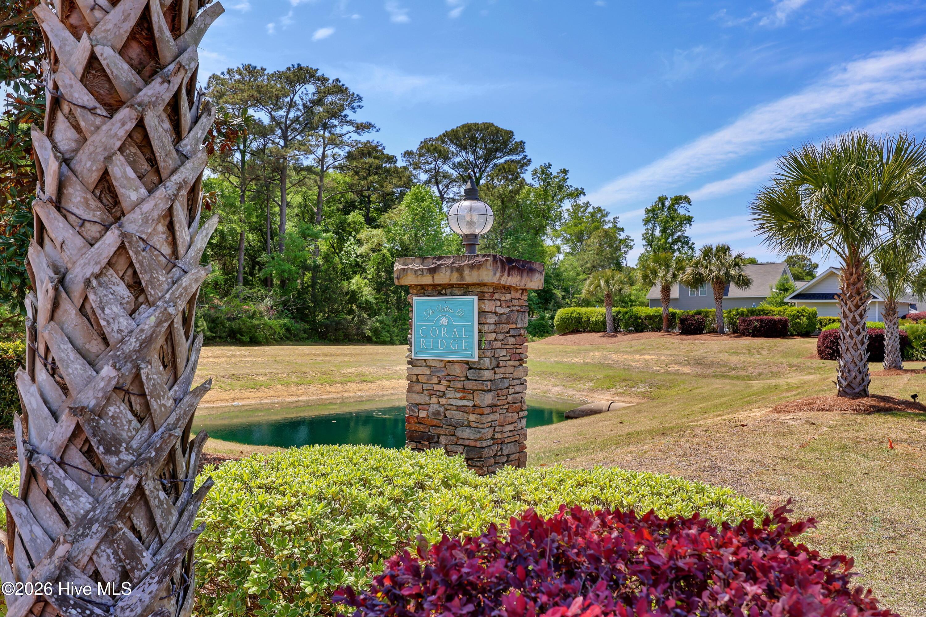 100567851 | Photo 32