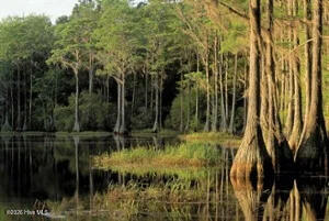 100560934 | Photo 57