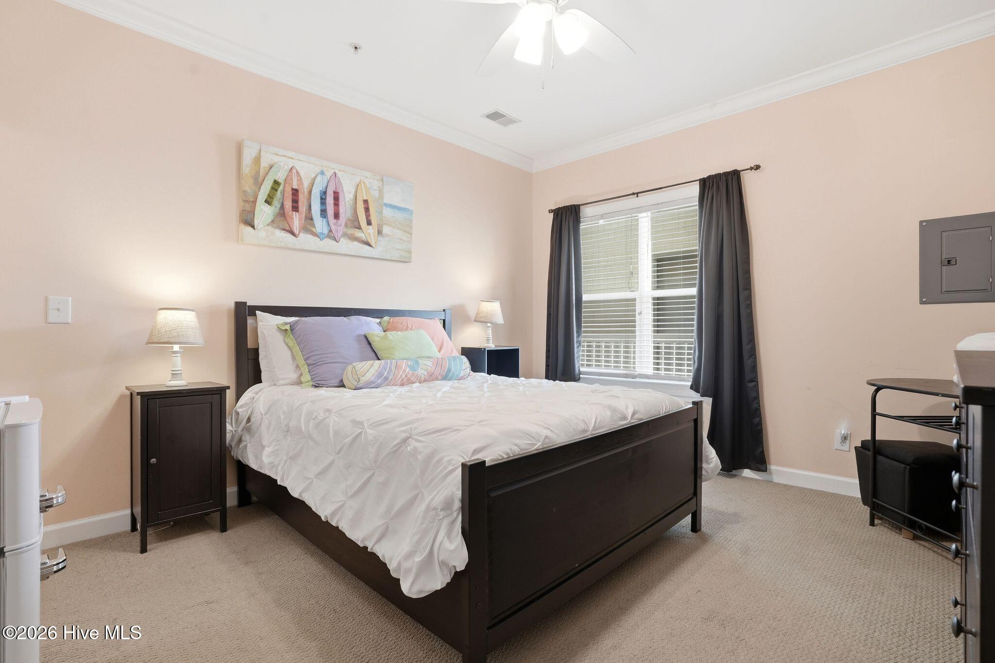 100560222 | Photo 22