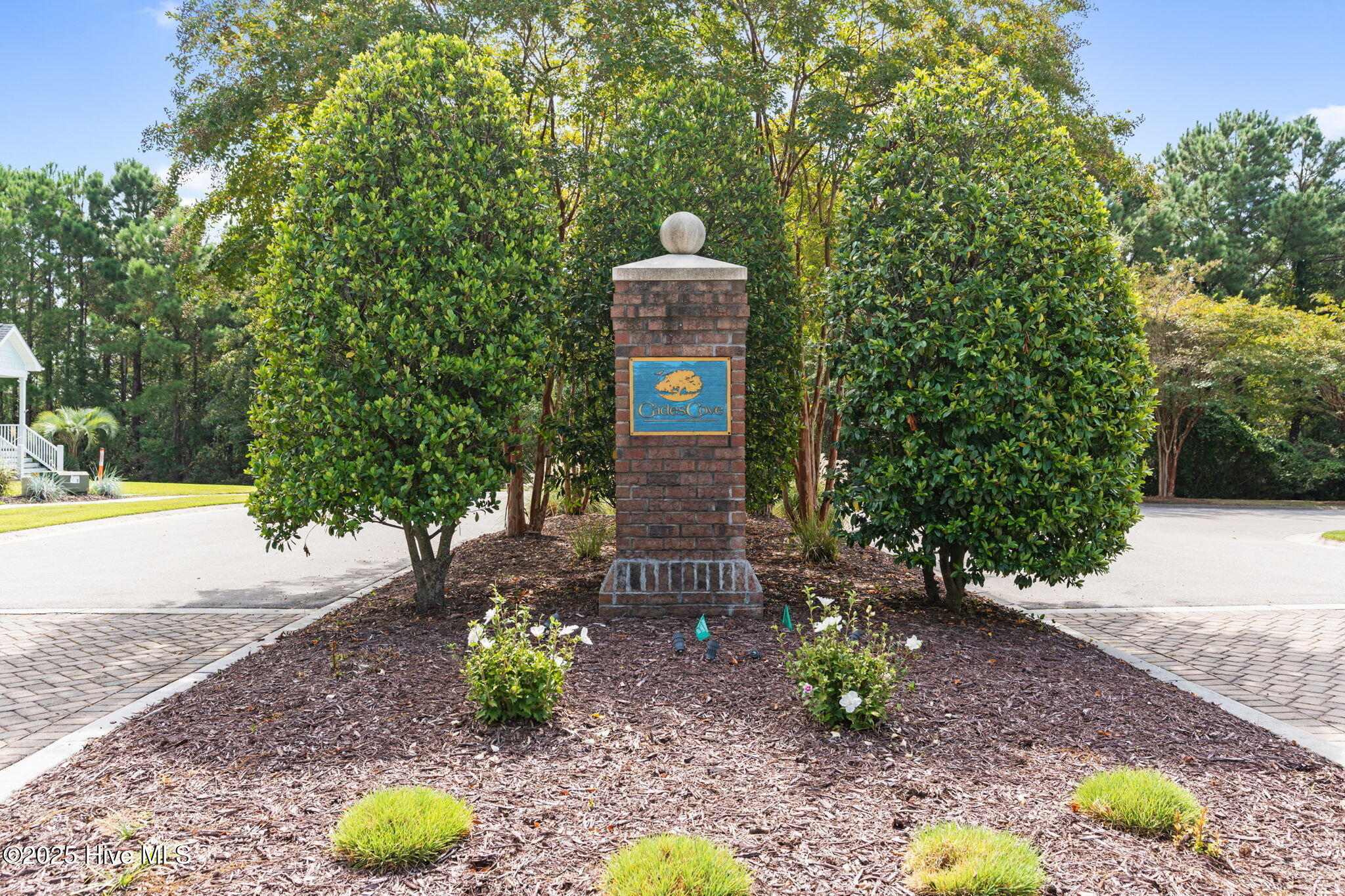 100541992 | Photo 79