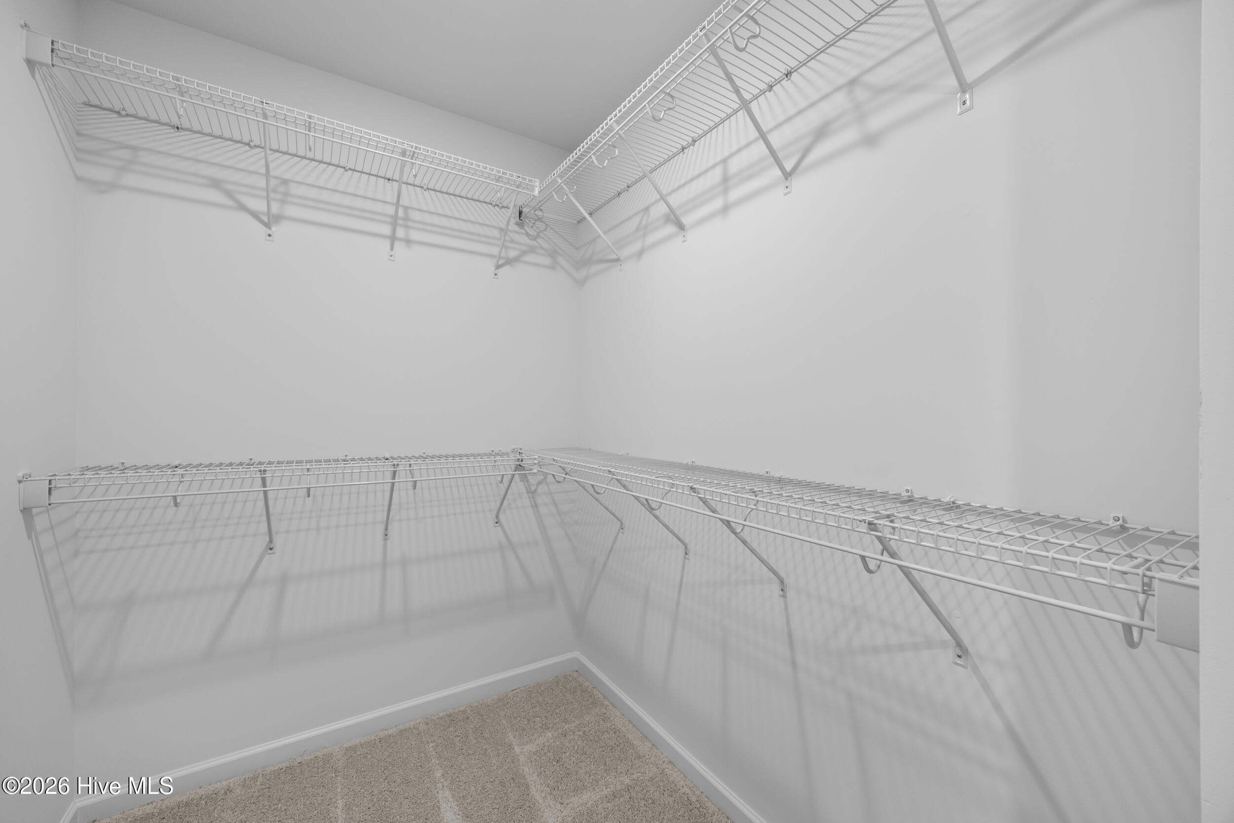 100557126 | Photo 22