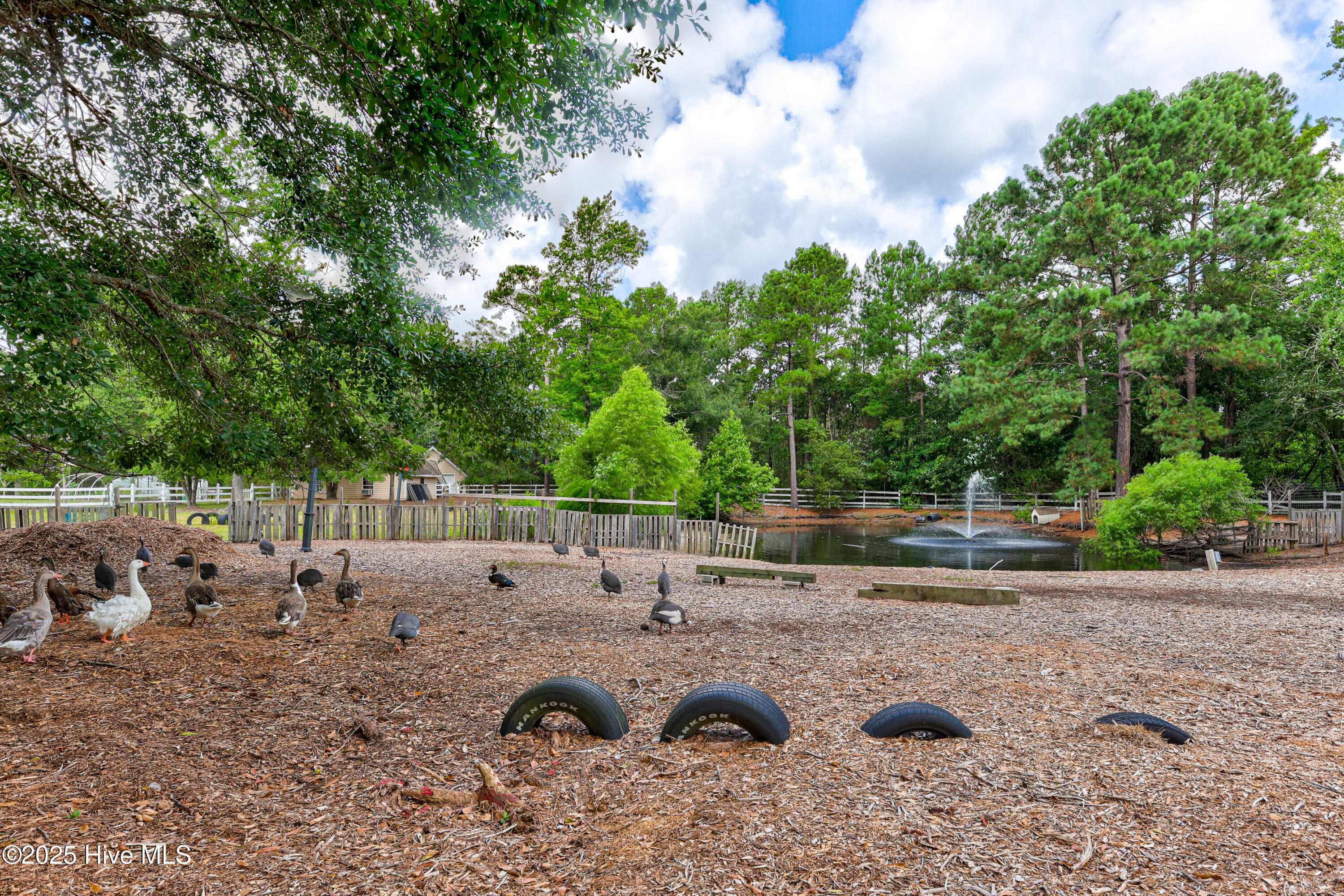 100562127 | Photo 73