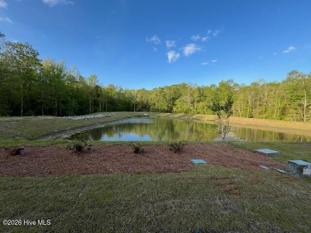 100567175 | Photo 34