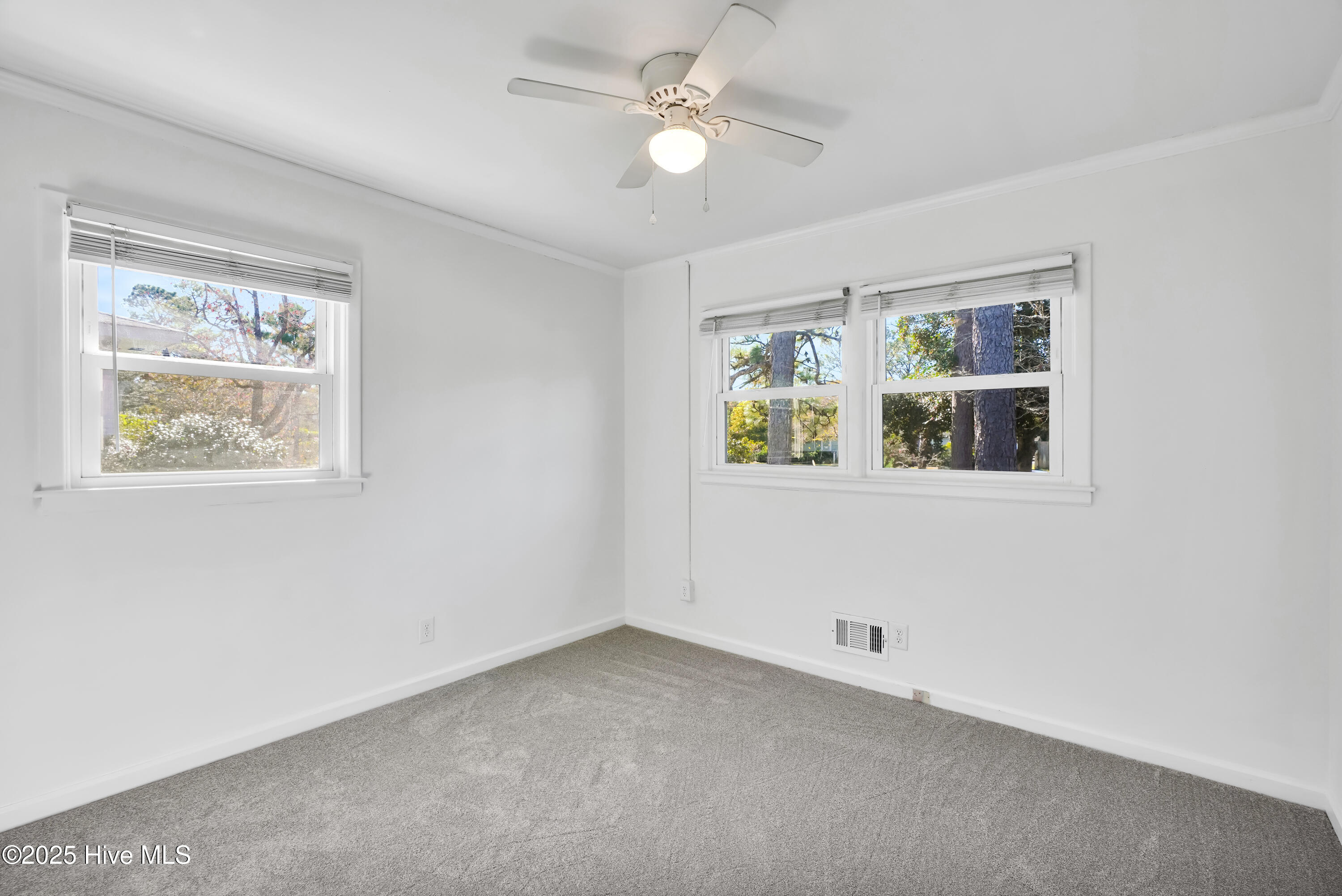 100539794 | Photo 26