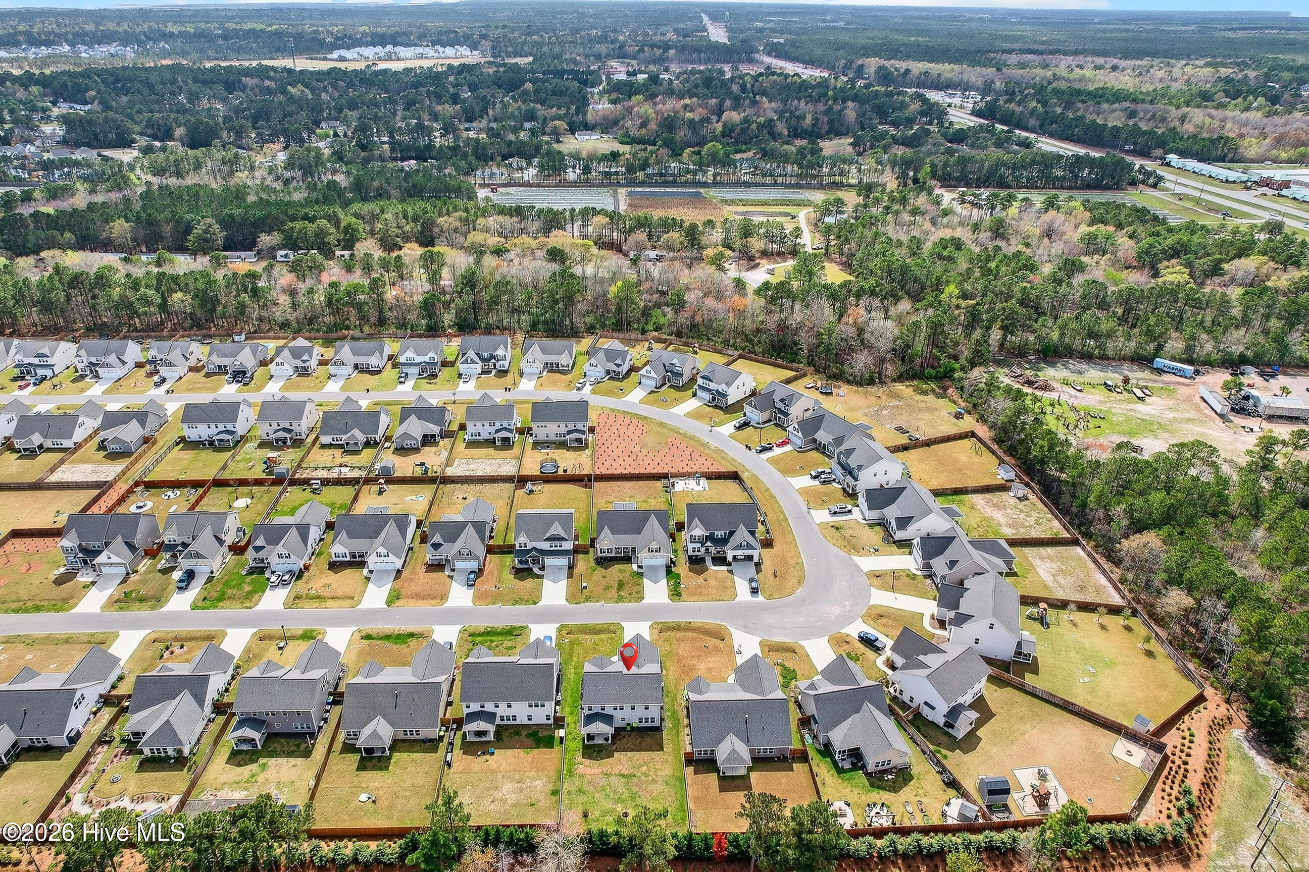 100563505 | Photo 47